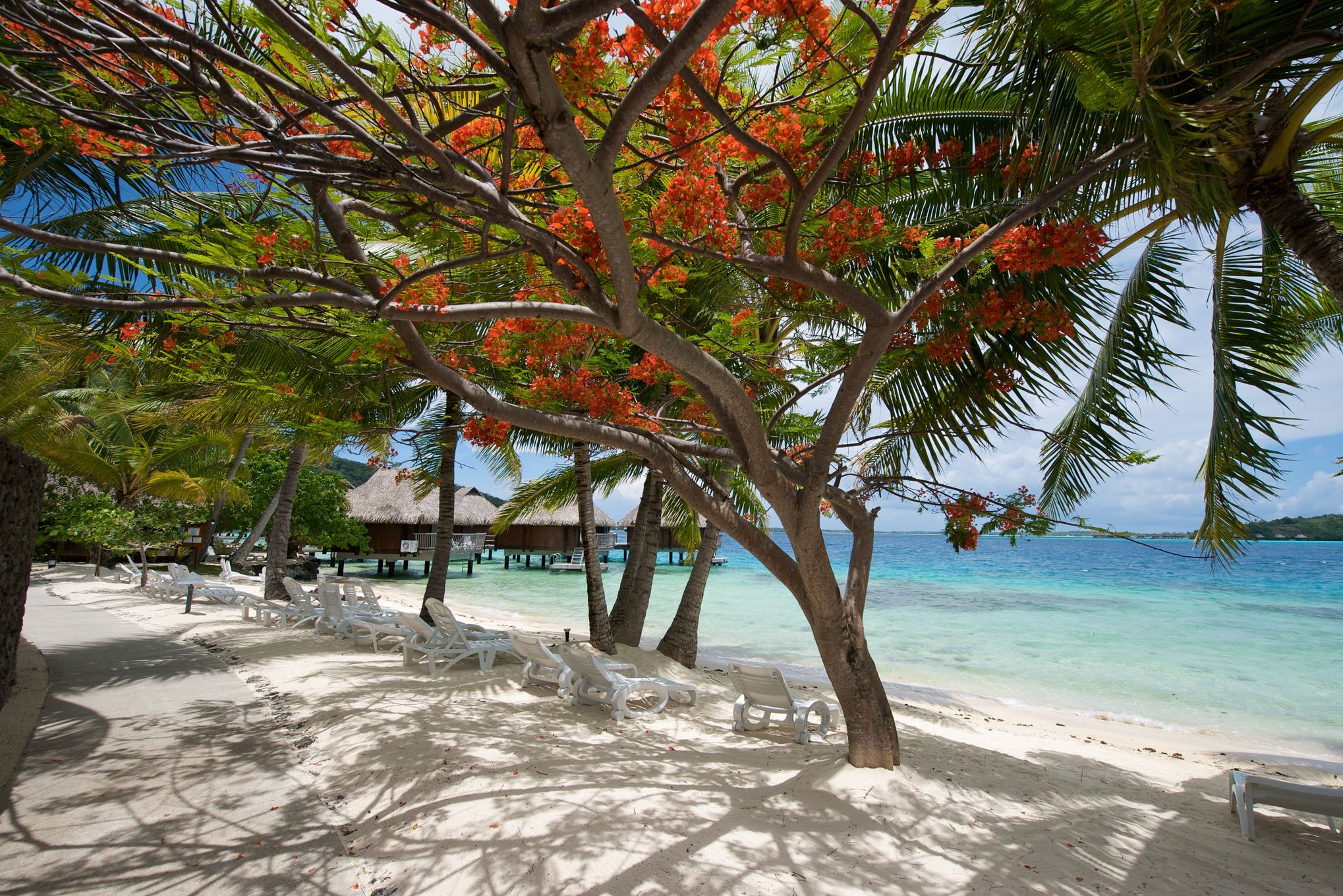 Frans Polynesie Bora Bora Maitai Polynesie Strand