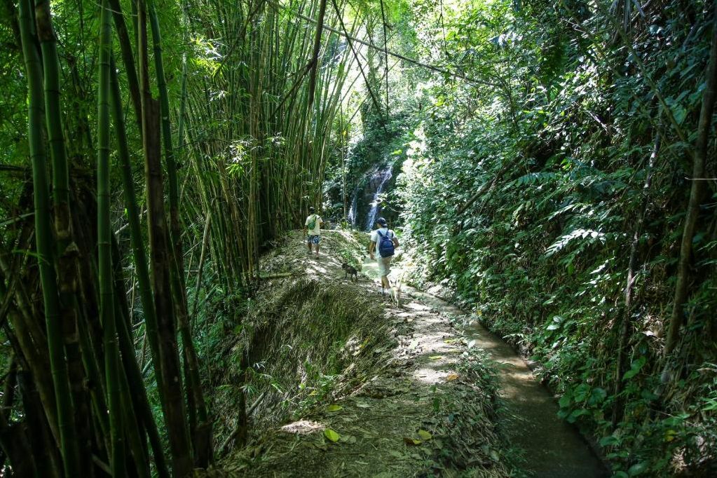 Colombia Minca Wandeling