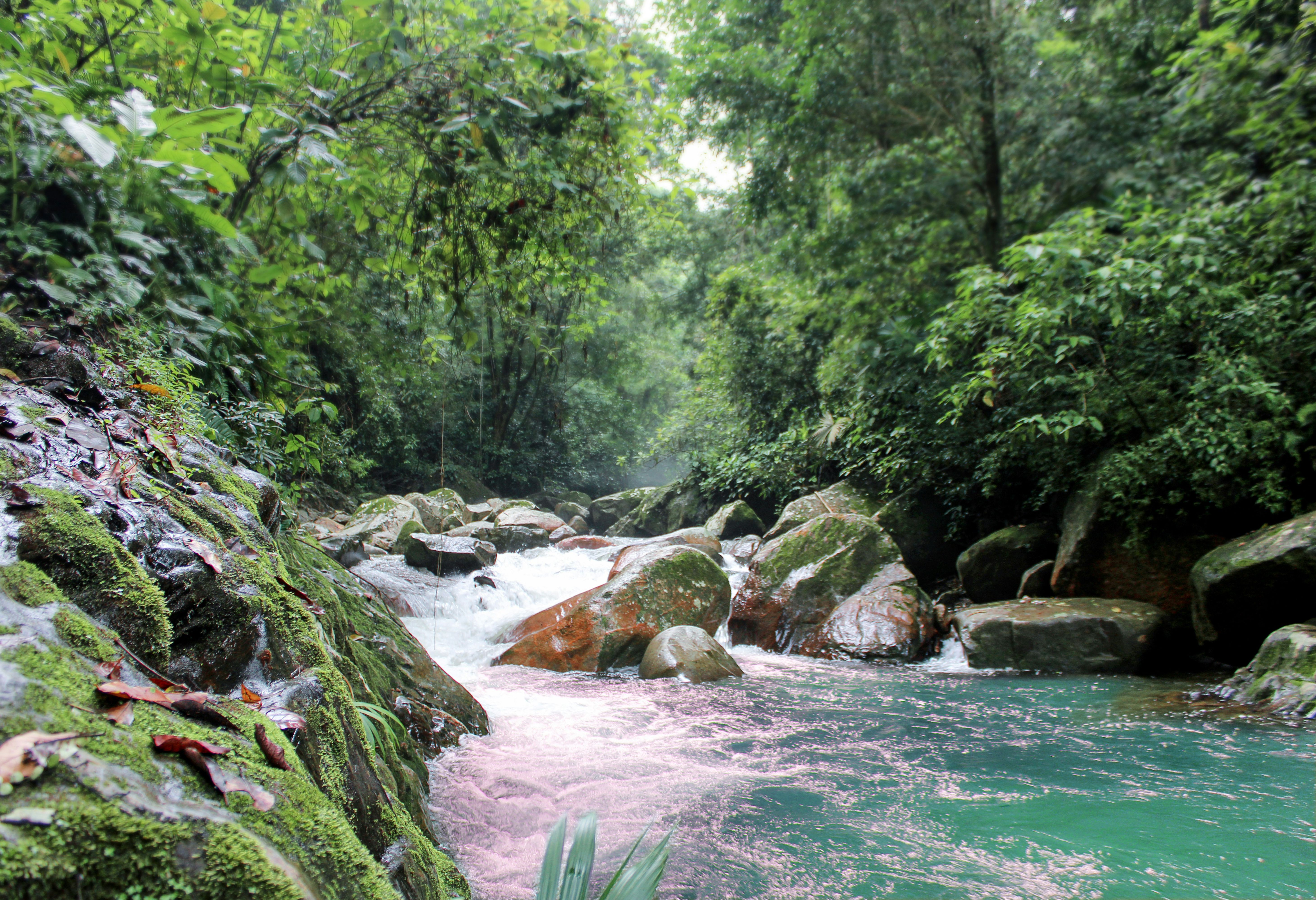 Colombia Minca Rivier