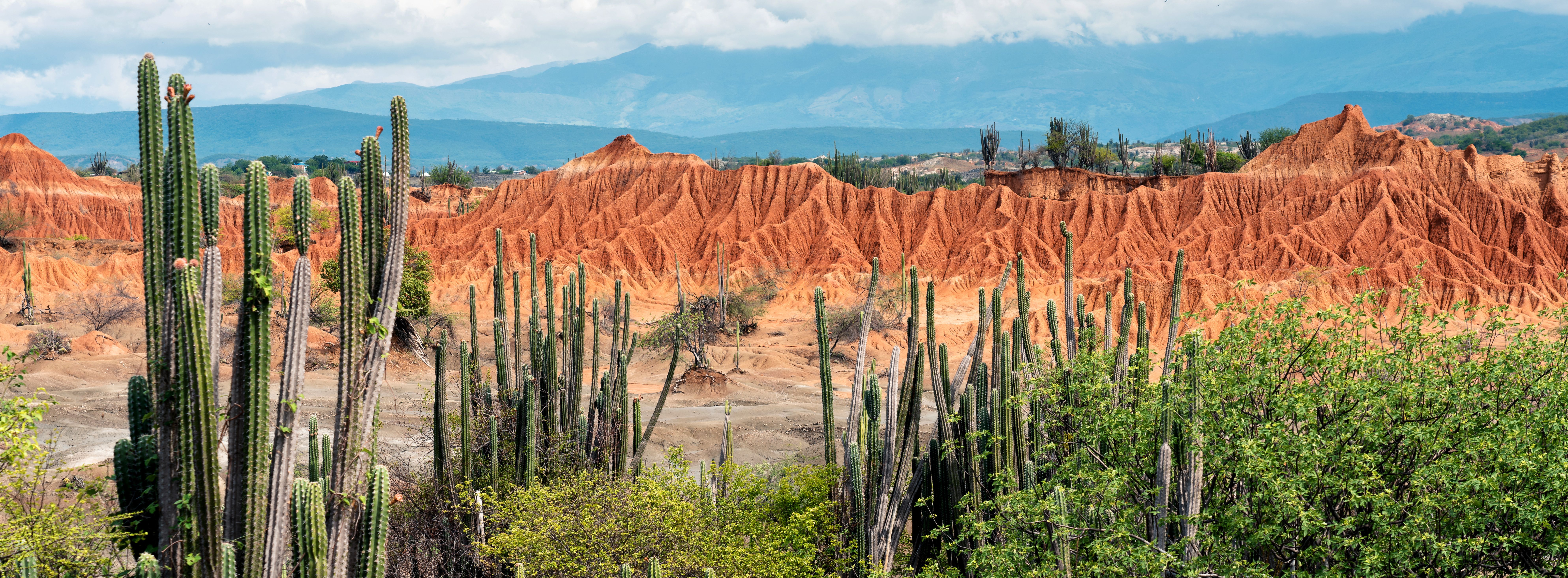 Tatacoa Desert Colombia
