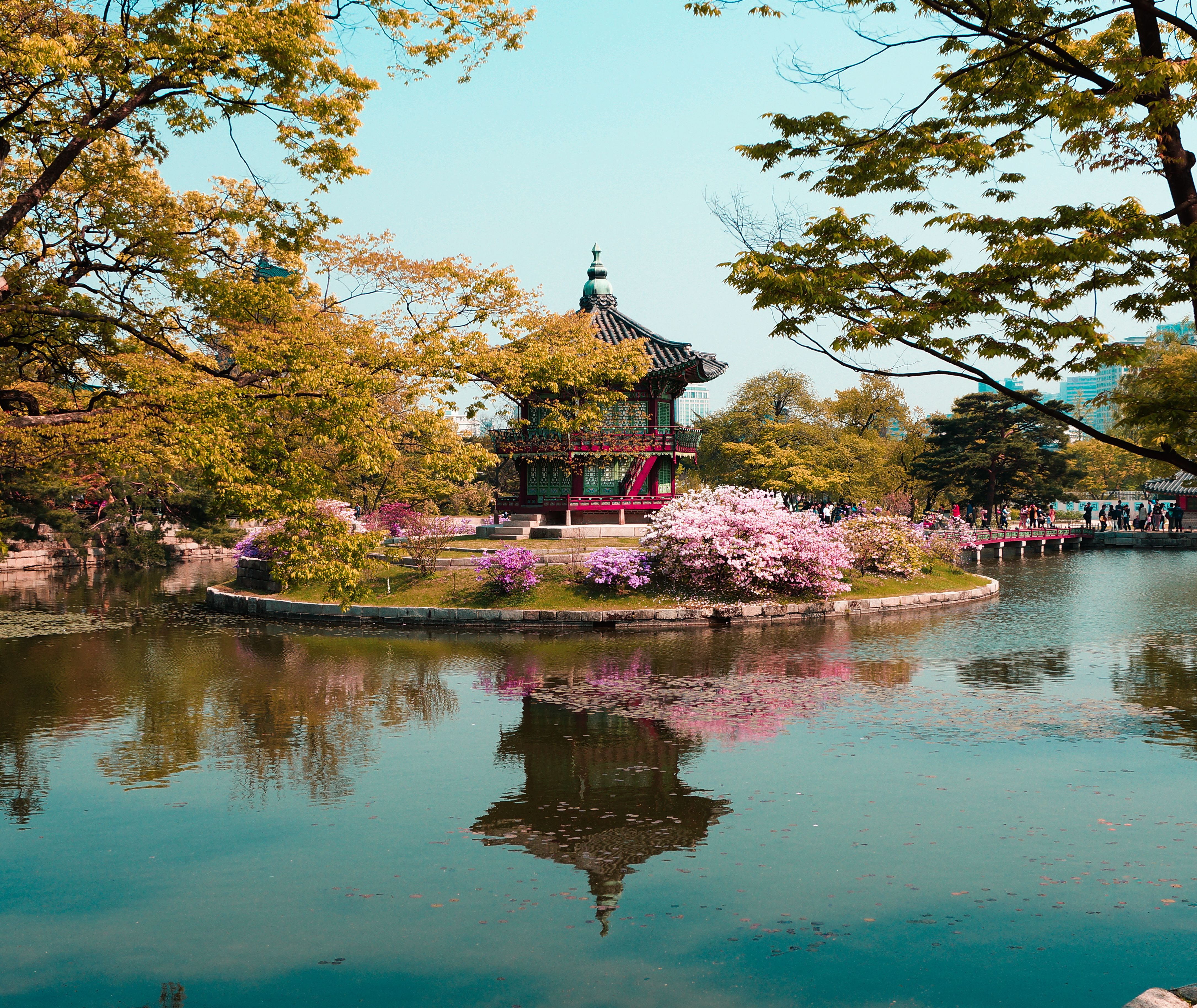 Zuid-Korea-Seoel-Gyeongbokgung-Palace-bloesem