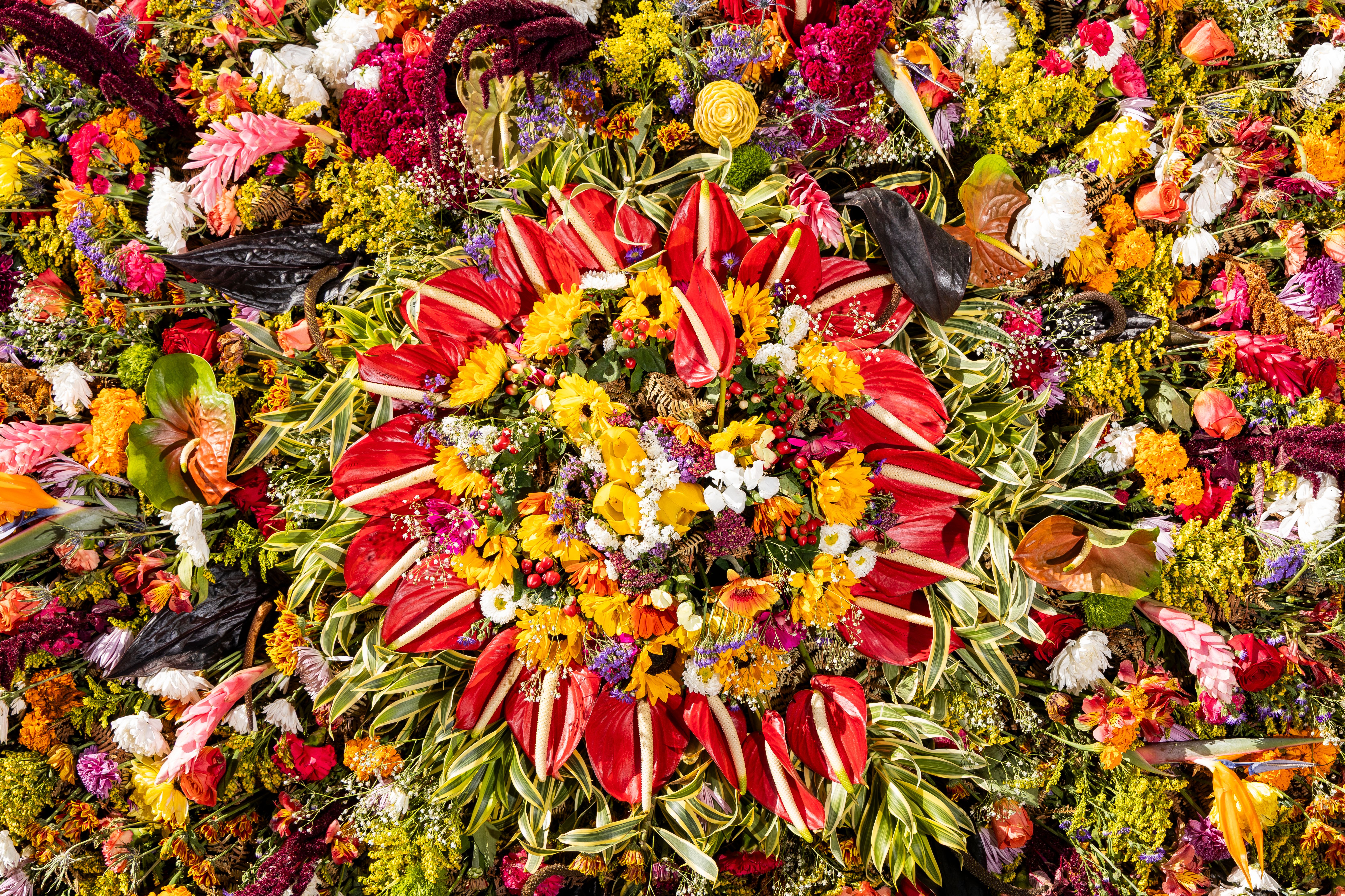 Bloemen