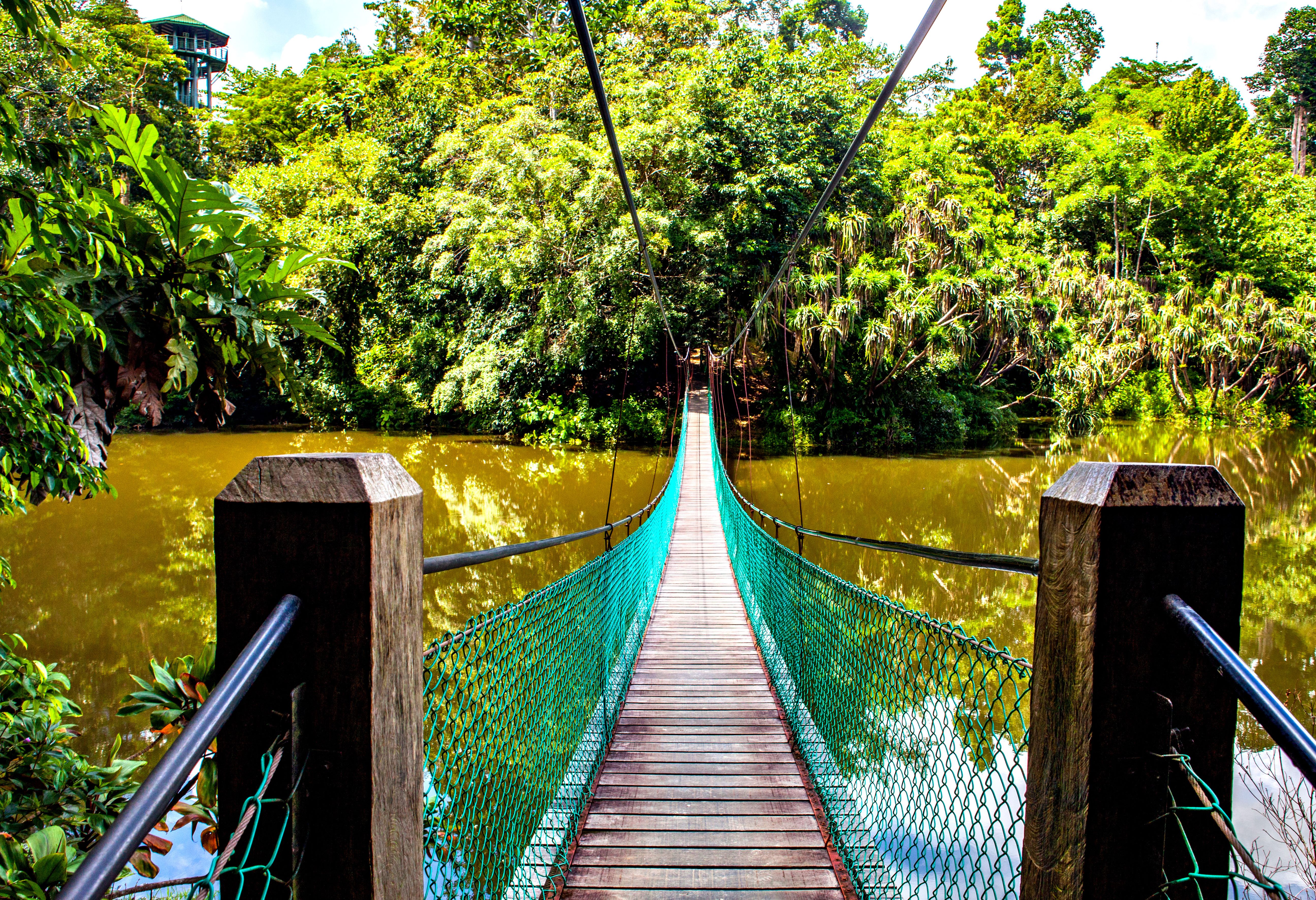 Hangbrug nabij Sepilok