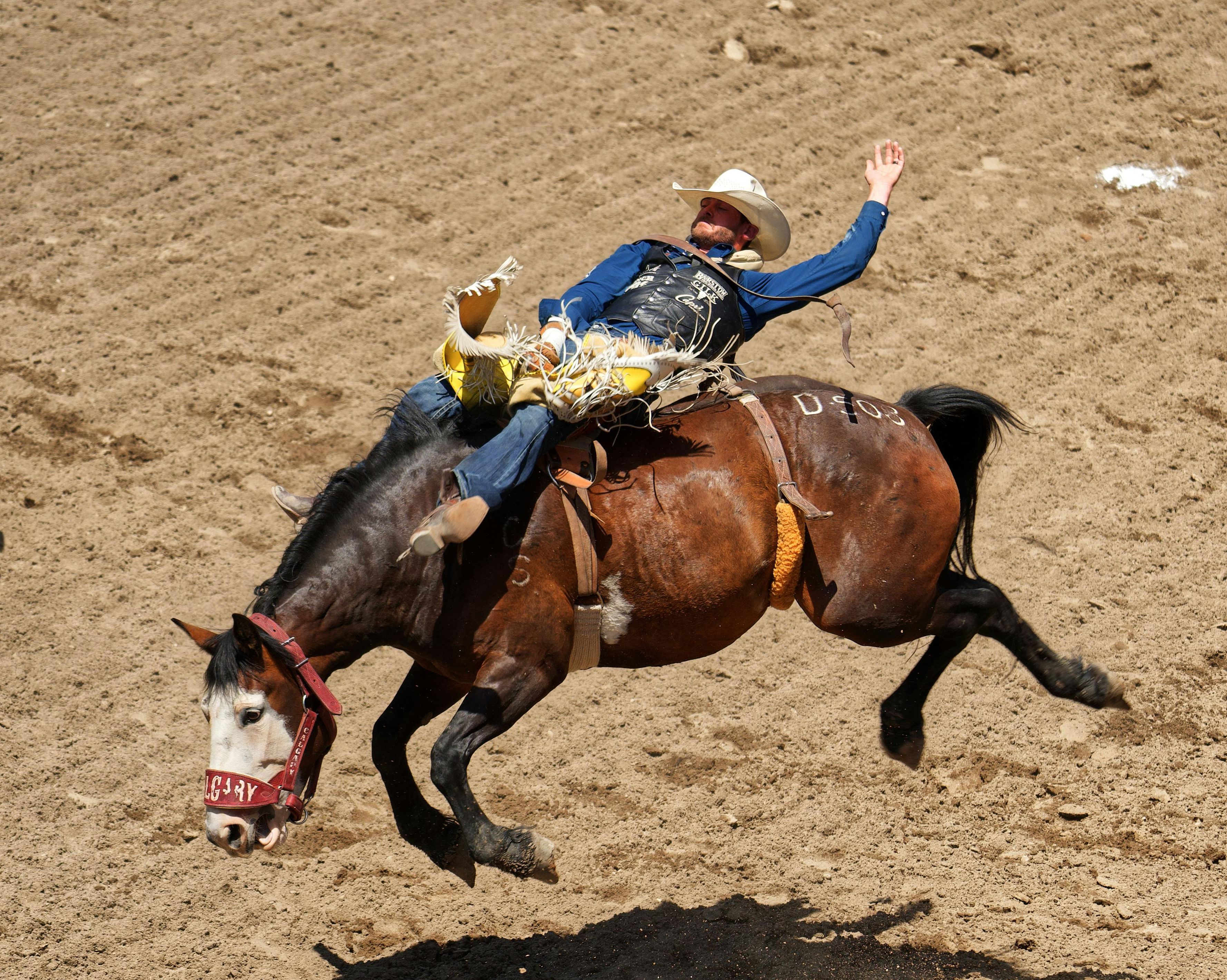 Canada-Calgary-Stampede