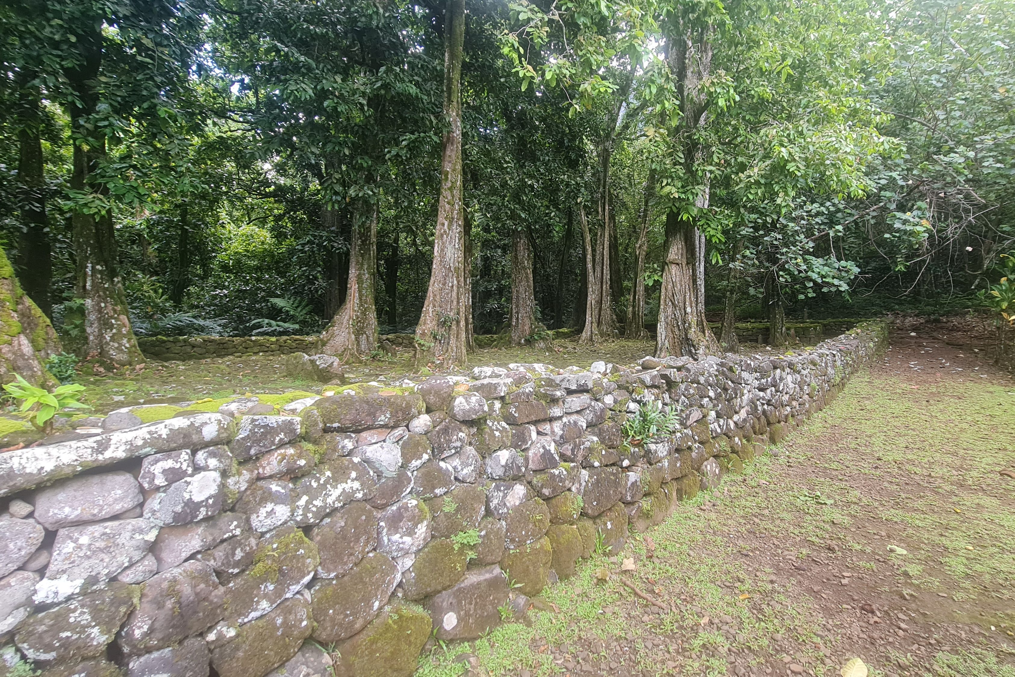 Marae op Moorea in Frans-Polynesie