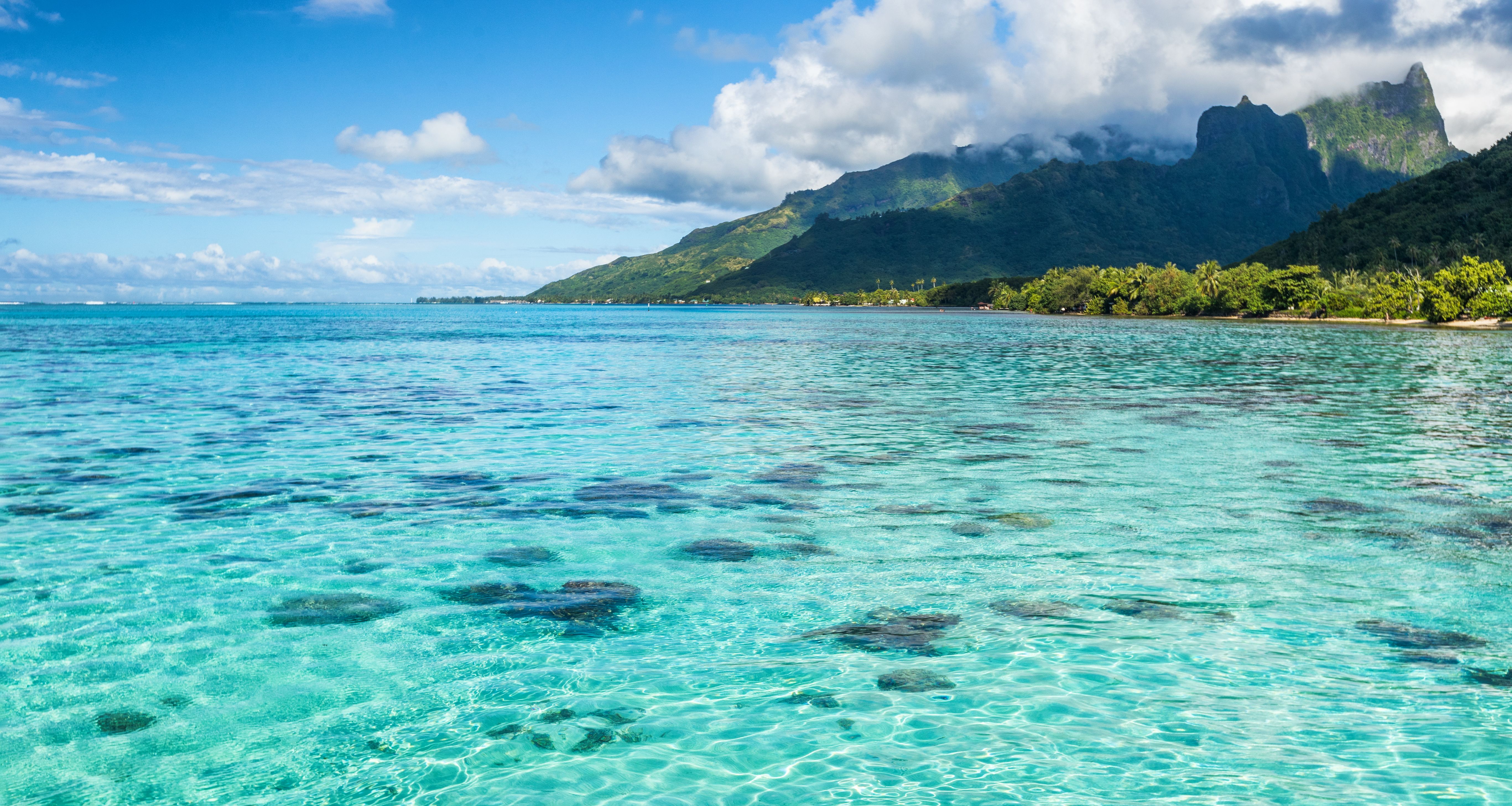 Frans-Polynesie-Moorea-snorkelen