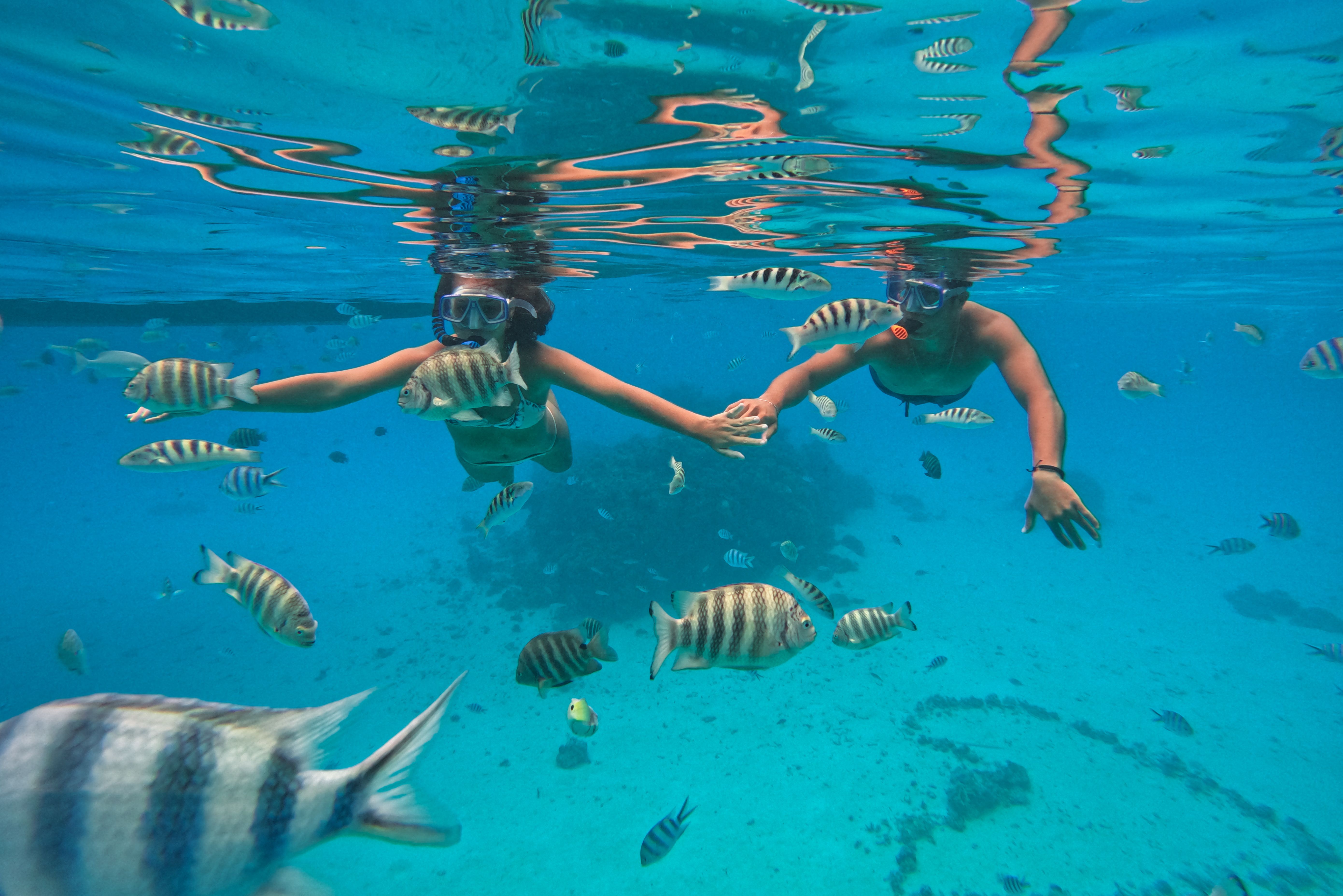 Excursie Snorkelen tussen de Puntrifhaaien en Pijlstaartroggen bij Bora Bora in Frans-Polynesie