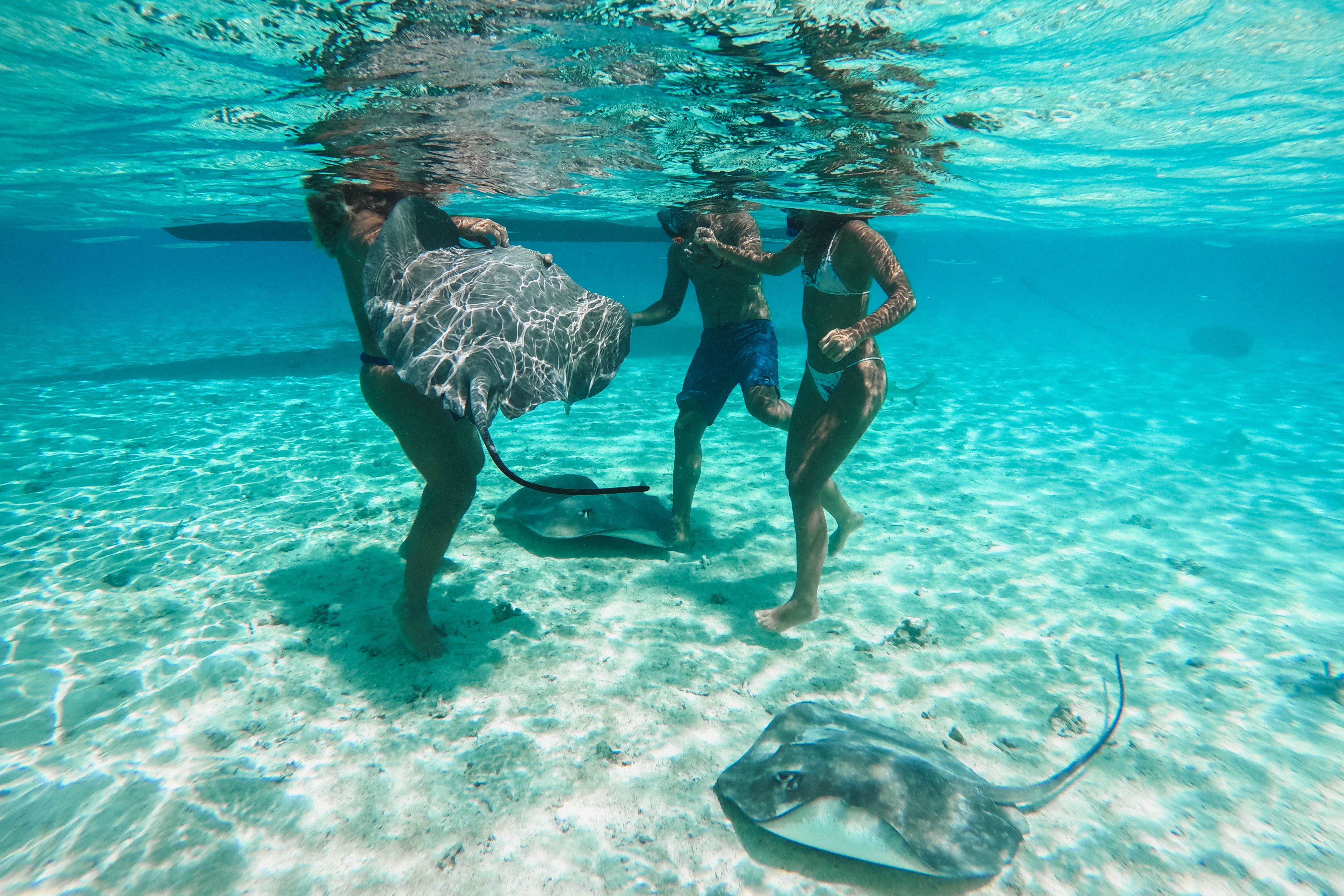 Roggen tijdens de excursie Snorkelen tussen de Puntrifhaaien en Pijlstaartroggen bij Bora Bora in Frans-Polynesie