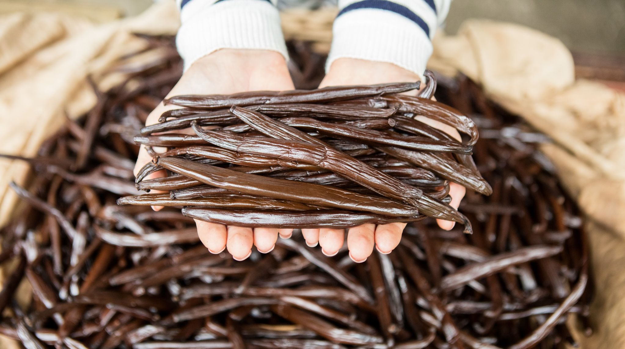 Frans-Polynesie-Tahaa-Vanille