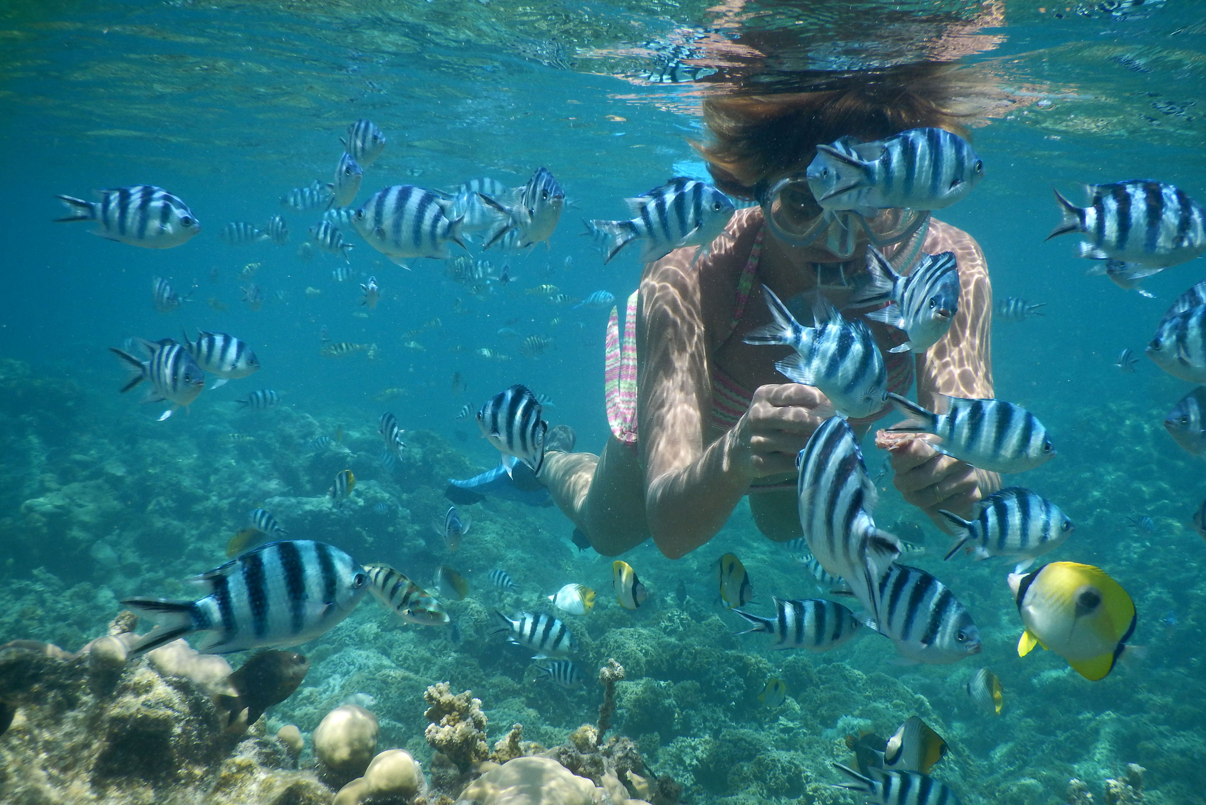 Snorkelen tijdens Bora Bora per Outrigger Kano in Frans-Polynesie