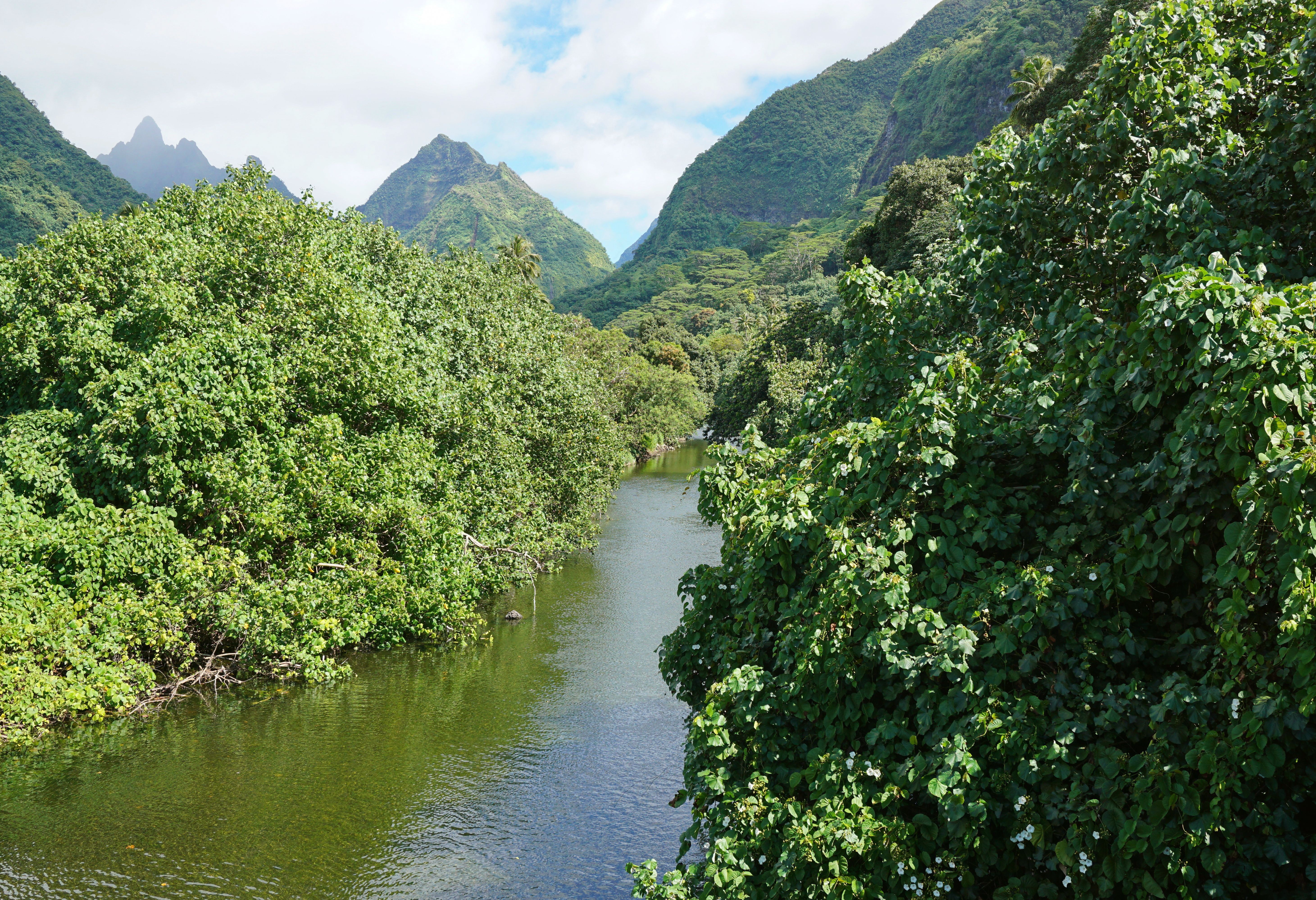 Landschap binnenland Tahiti in Frans-Polynesie