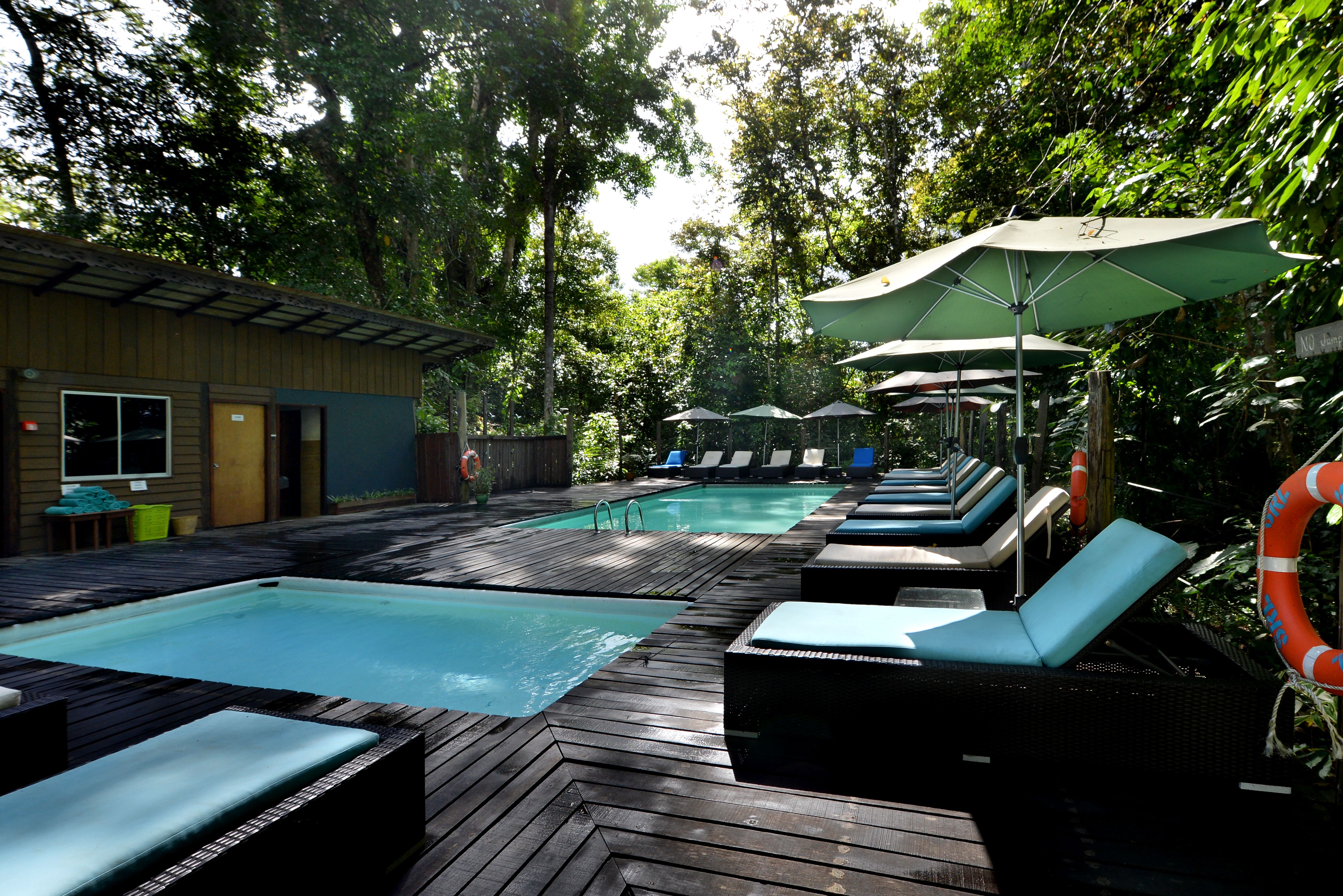 Zwembadjes bij Sukau Rainforest Lodge