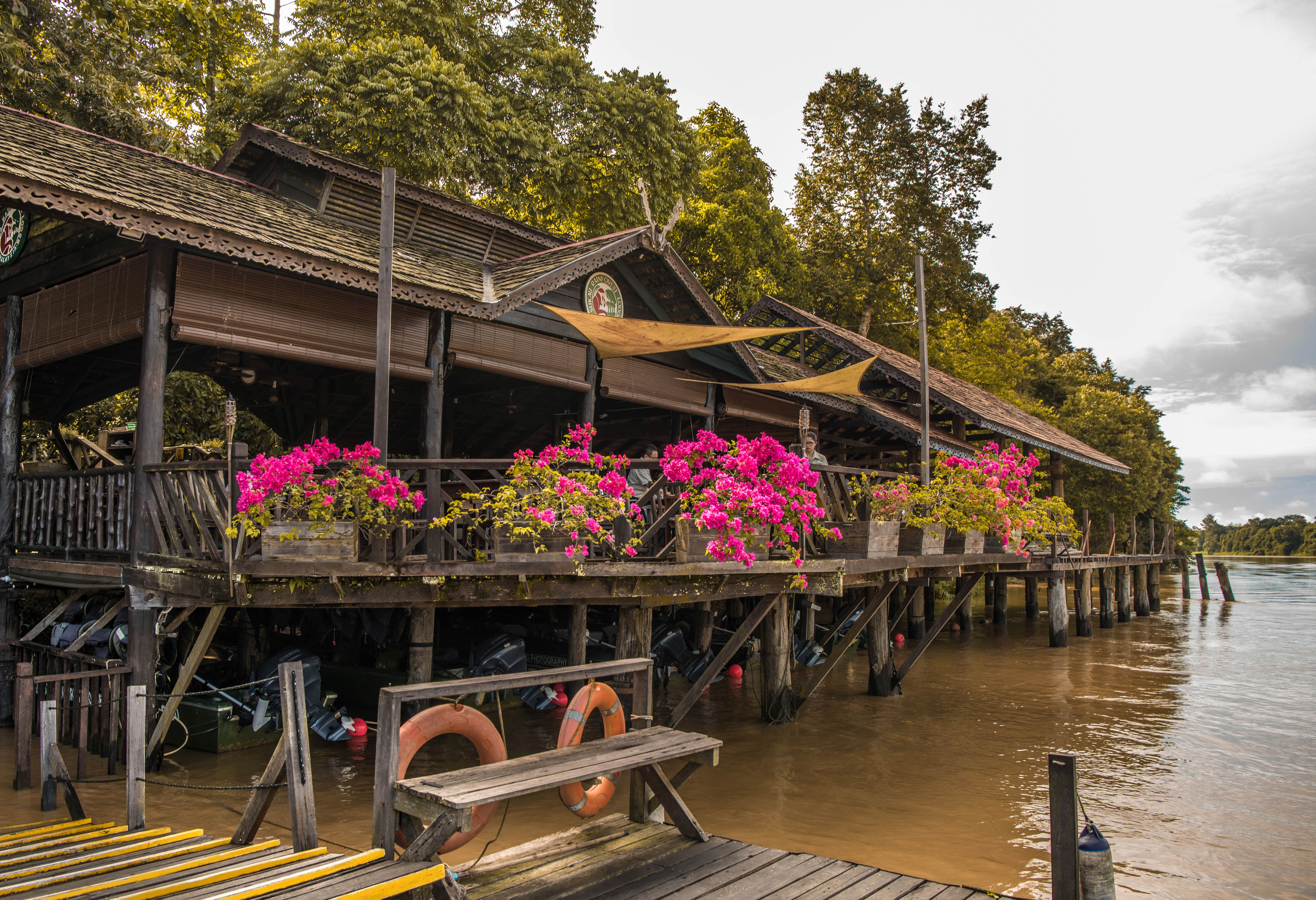 Sukau Rainforest Lodge Kinabatangan