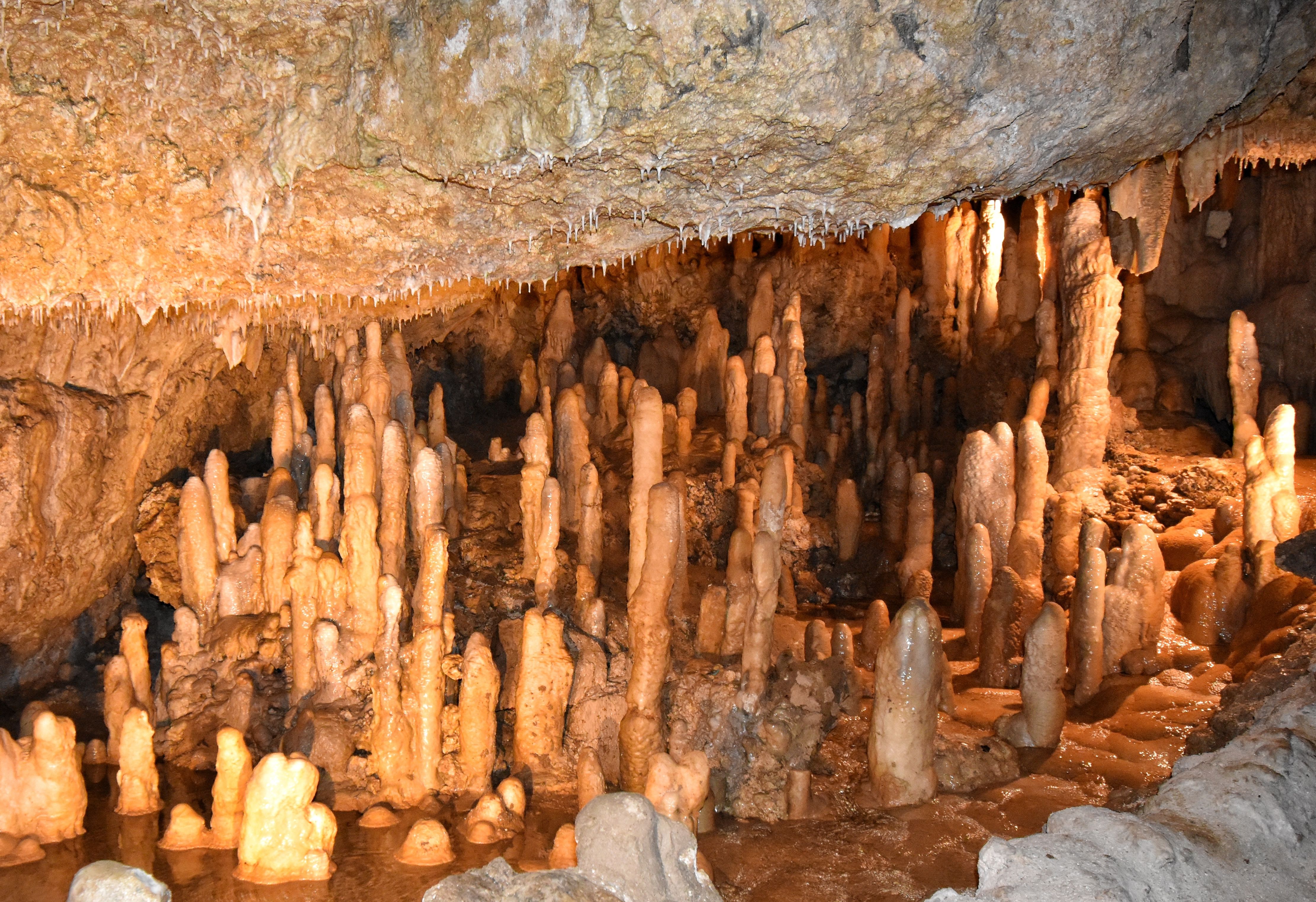 Barbados-Harrisons-Cave