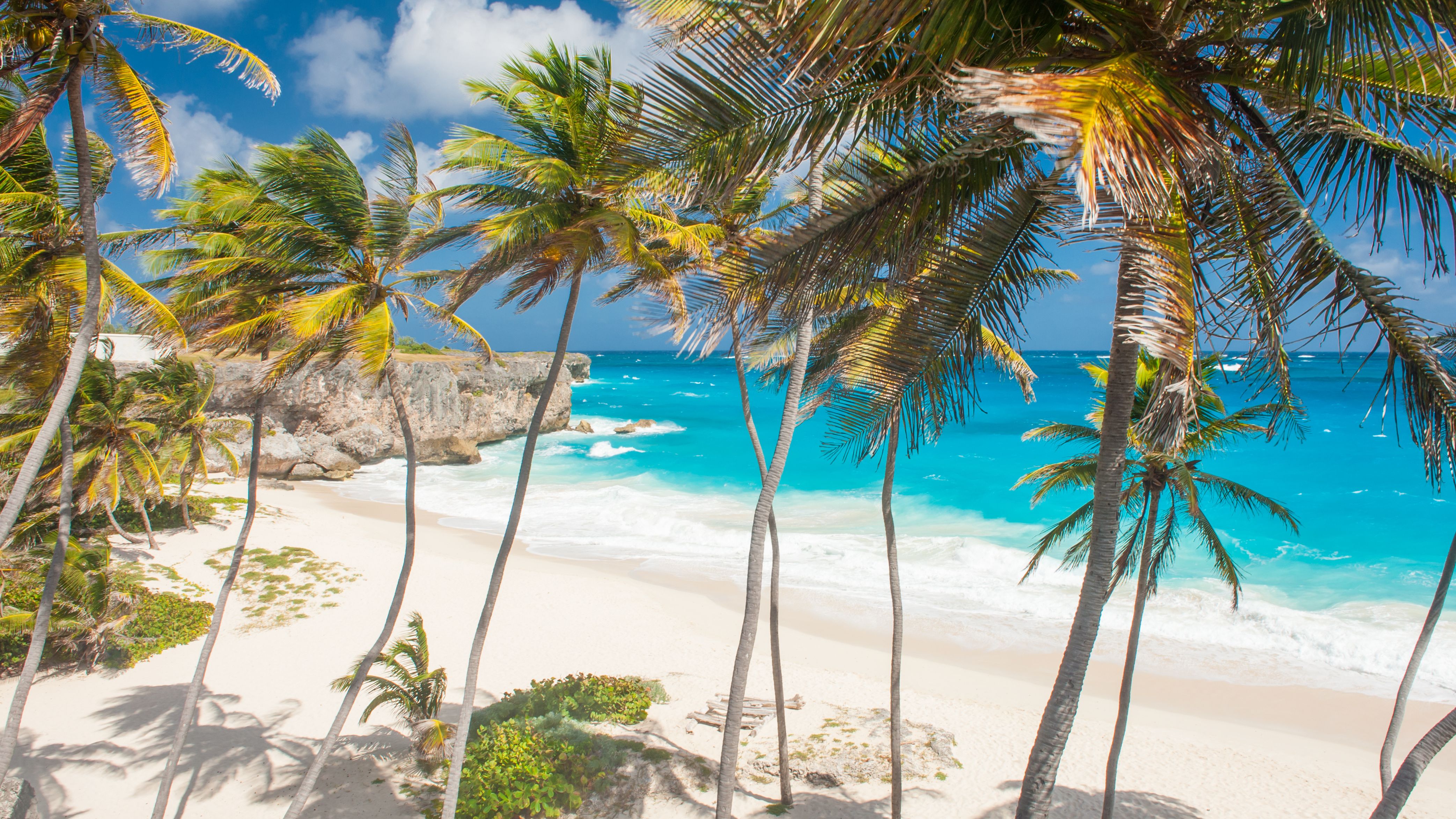 Barbados-Bottom-Bay-Paradise-Beach
