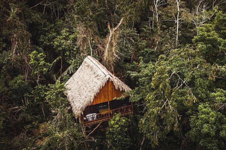 Belize San Ignacio Sweet Songs Jungle Lodge Treehouse