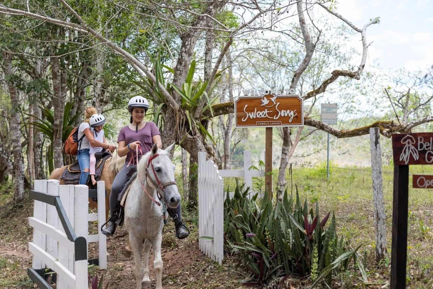 Belize San Ignacio Sweet Songs Jungle Lodge Paardrijden