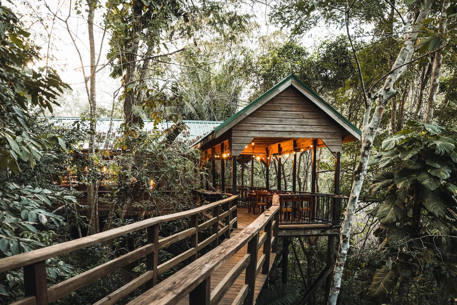 Belize San Ignacio Sweet Songs Jungle Lodge Bar