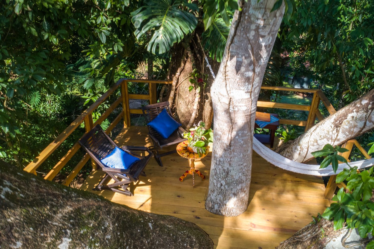Belize San Ignacio Sweet Songs Jungle Lodge Terras