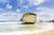 Barbados-Oost-Kust-Bathsheba-Beach-Rots