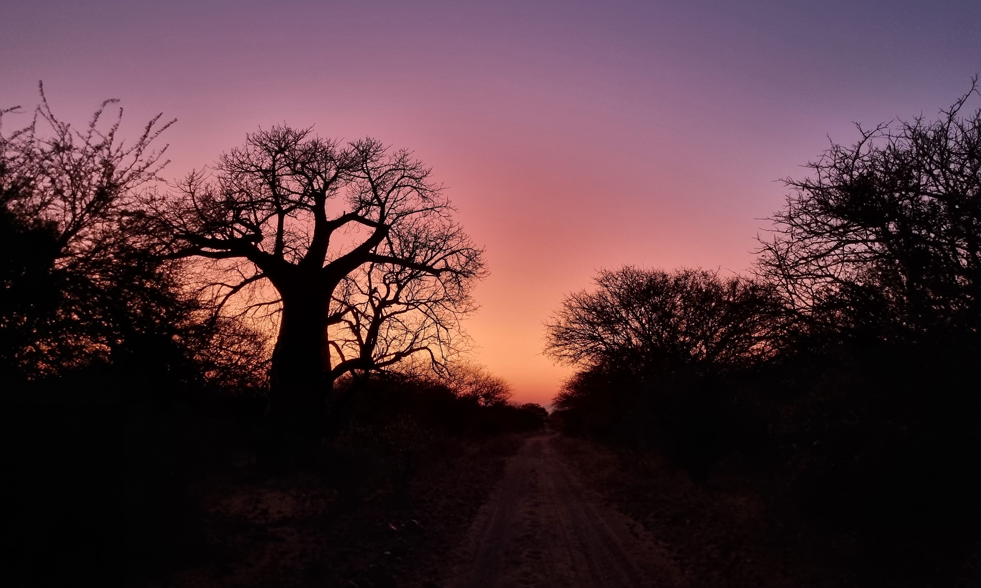 Zuid-Afrika-Limpopo-Few-and-Far-Luvhondo-Luvhondo-Reserve-Natuur
