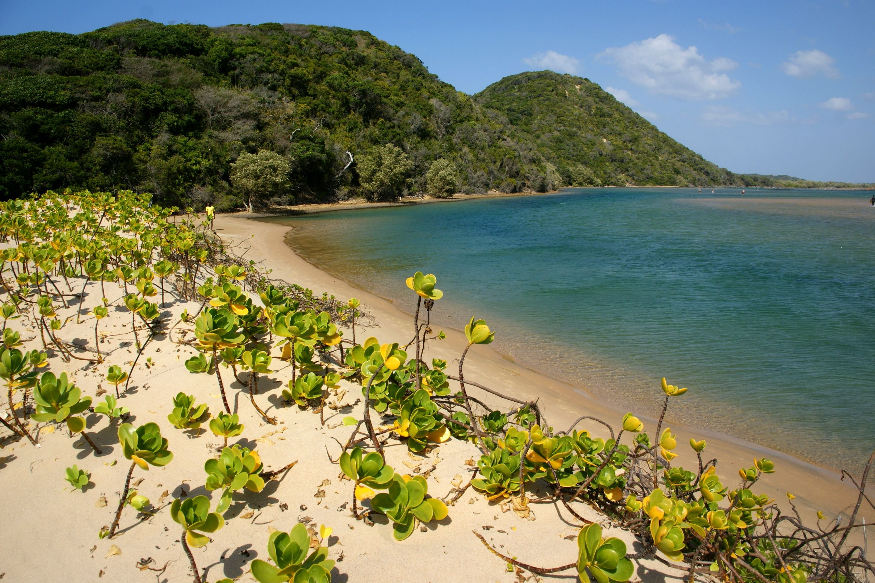 Zuid-Afrika Maputaland Kosi Bay