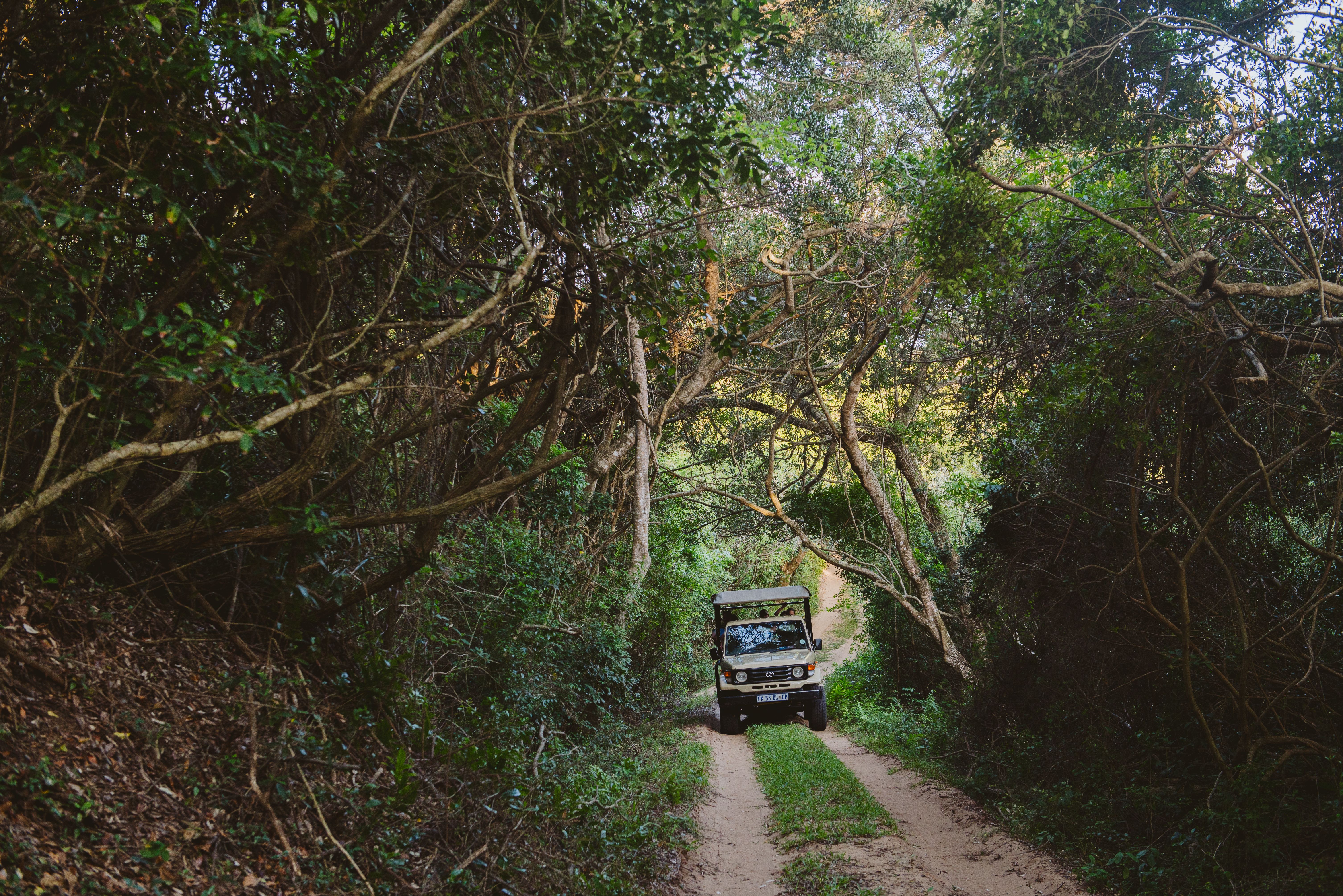 Zuid-Afrika Maputaland Big Skies Gugs Camp Jeep