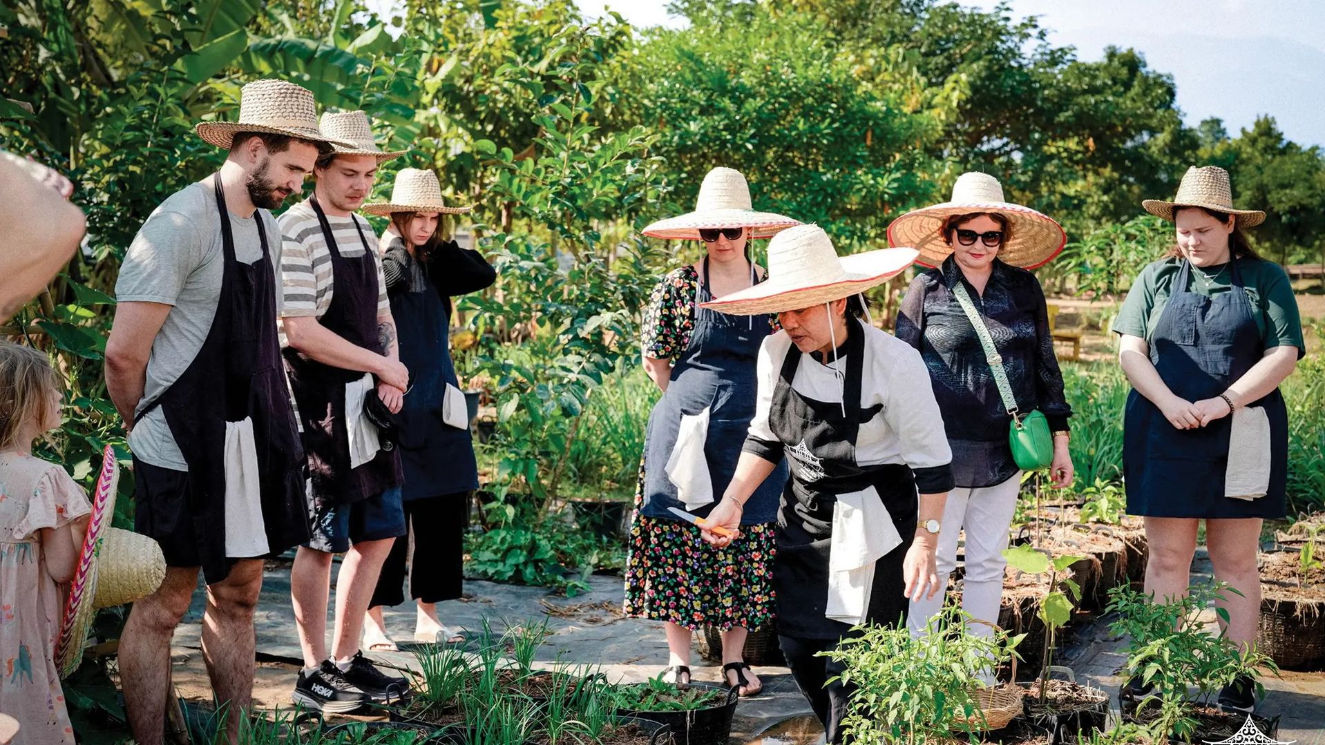Thailand-Chiang-Mai-Rice-Barn-Thaise-Kookles