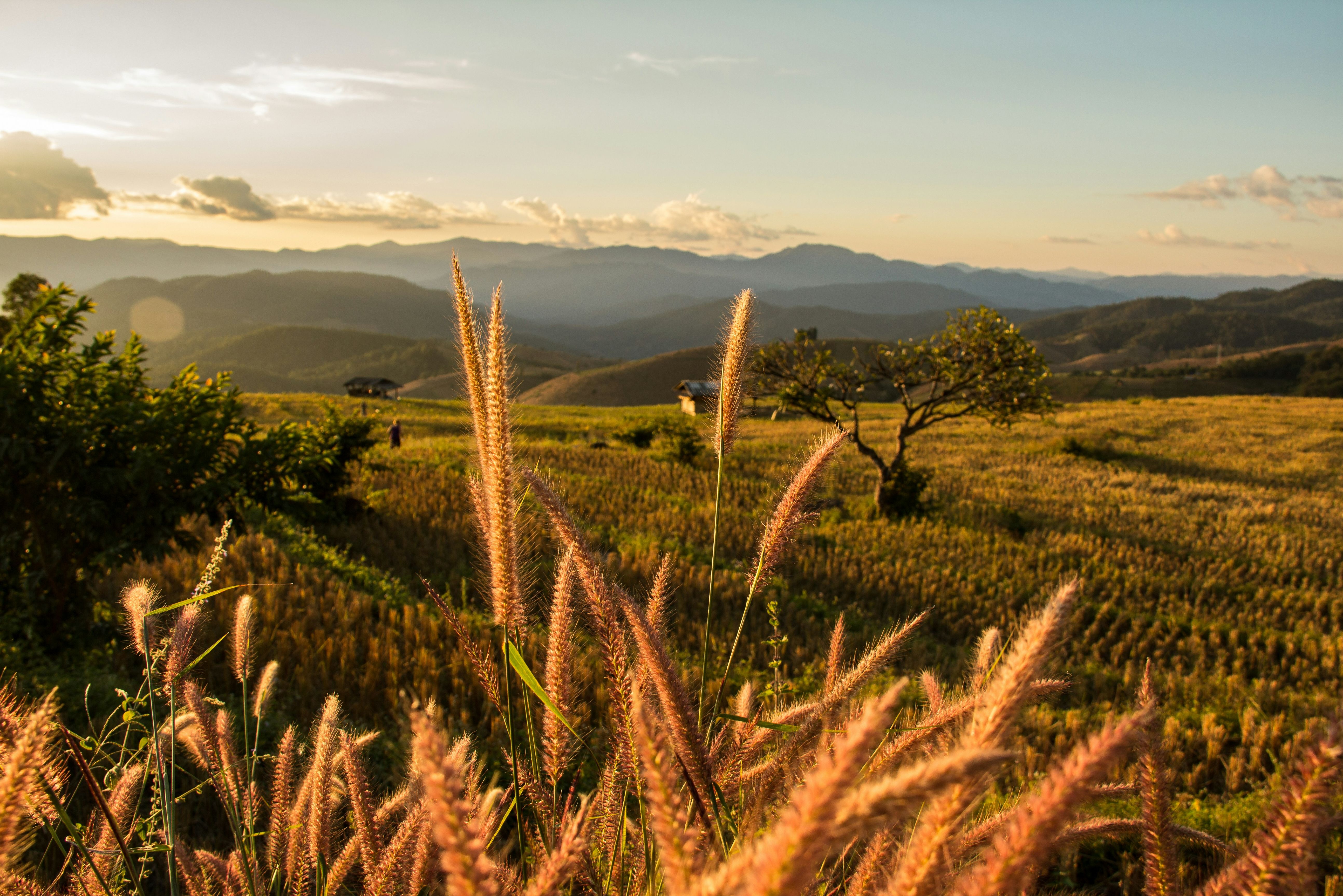 Thailand Chiang Mai Omgeving