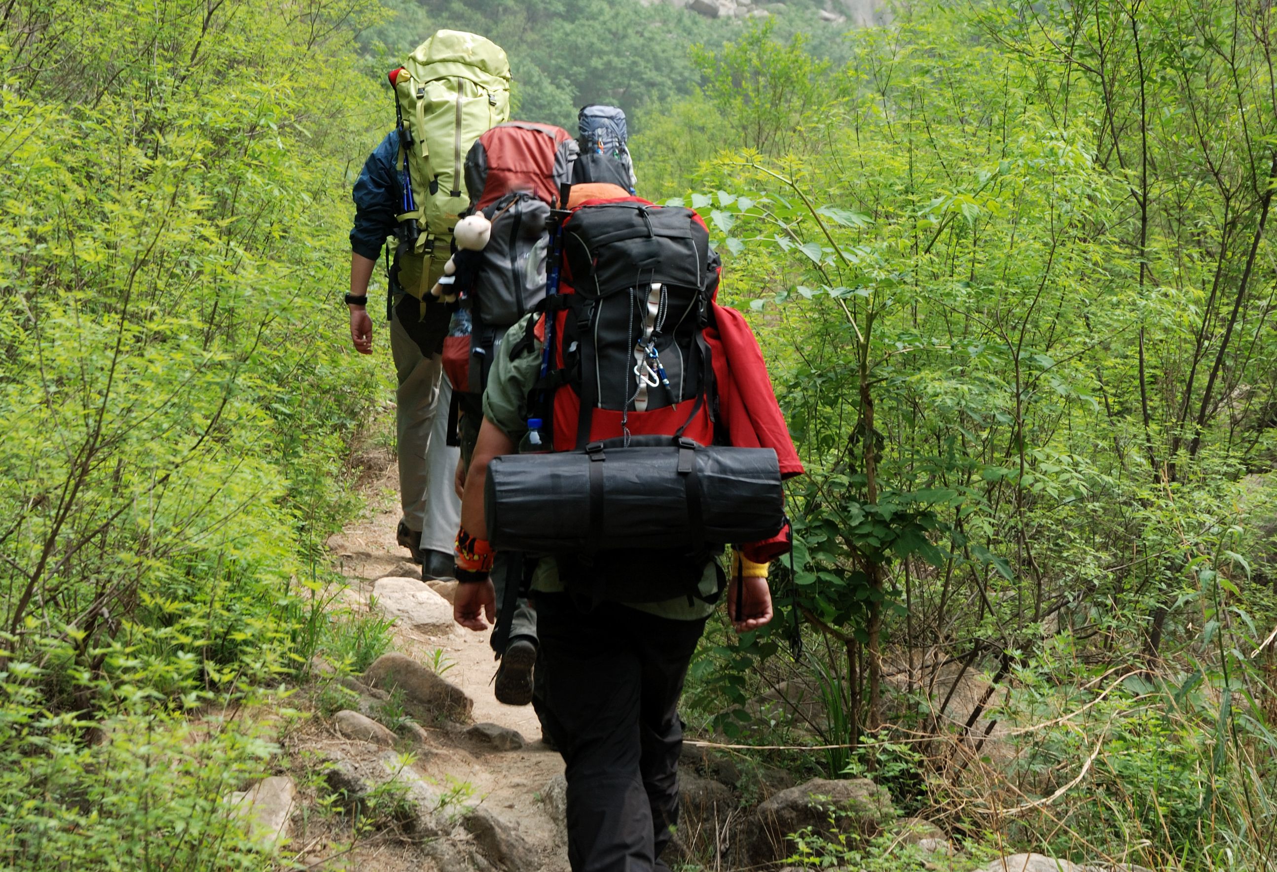 Pokhara trekking
