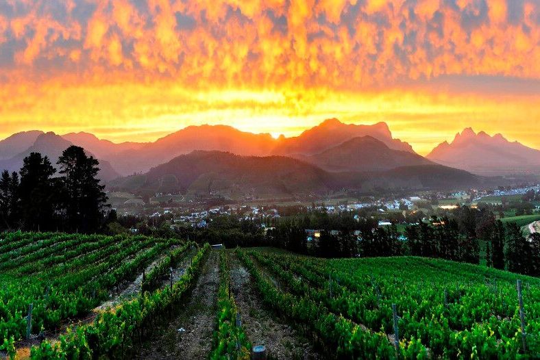 Wijnboerderij Franschhoek in Zuid-Afrika