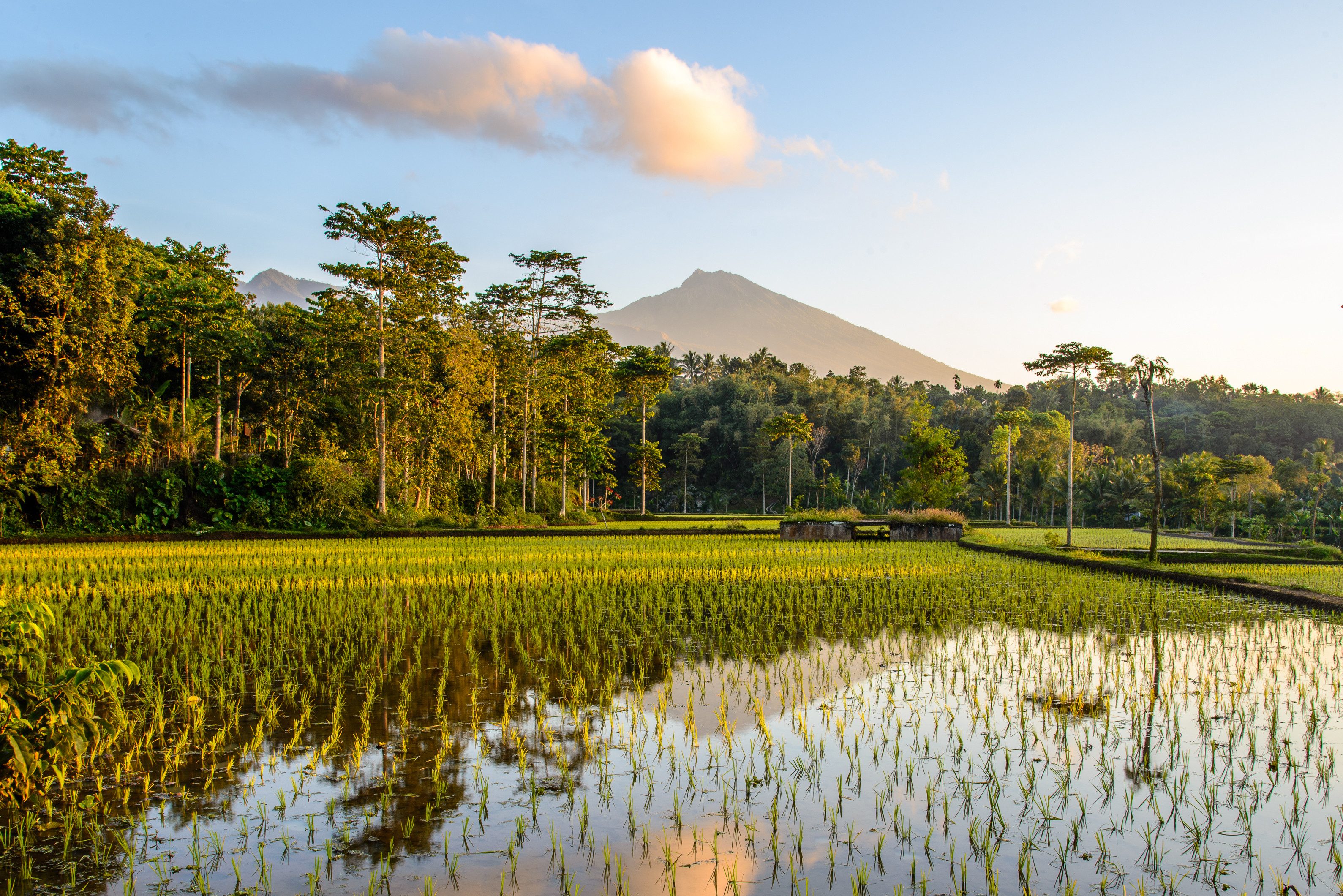 Rinjani National Park Lombok
