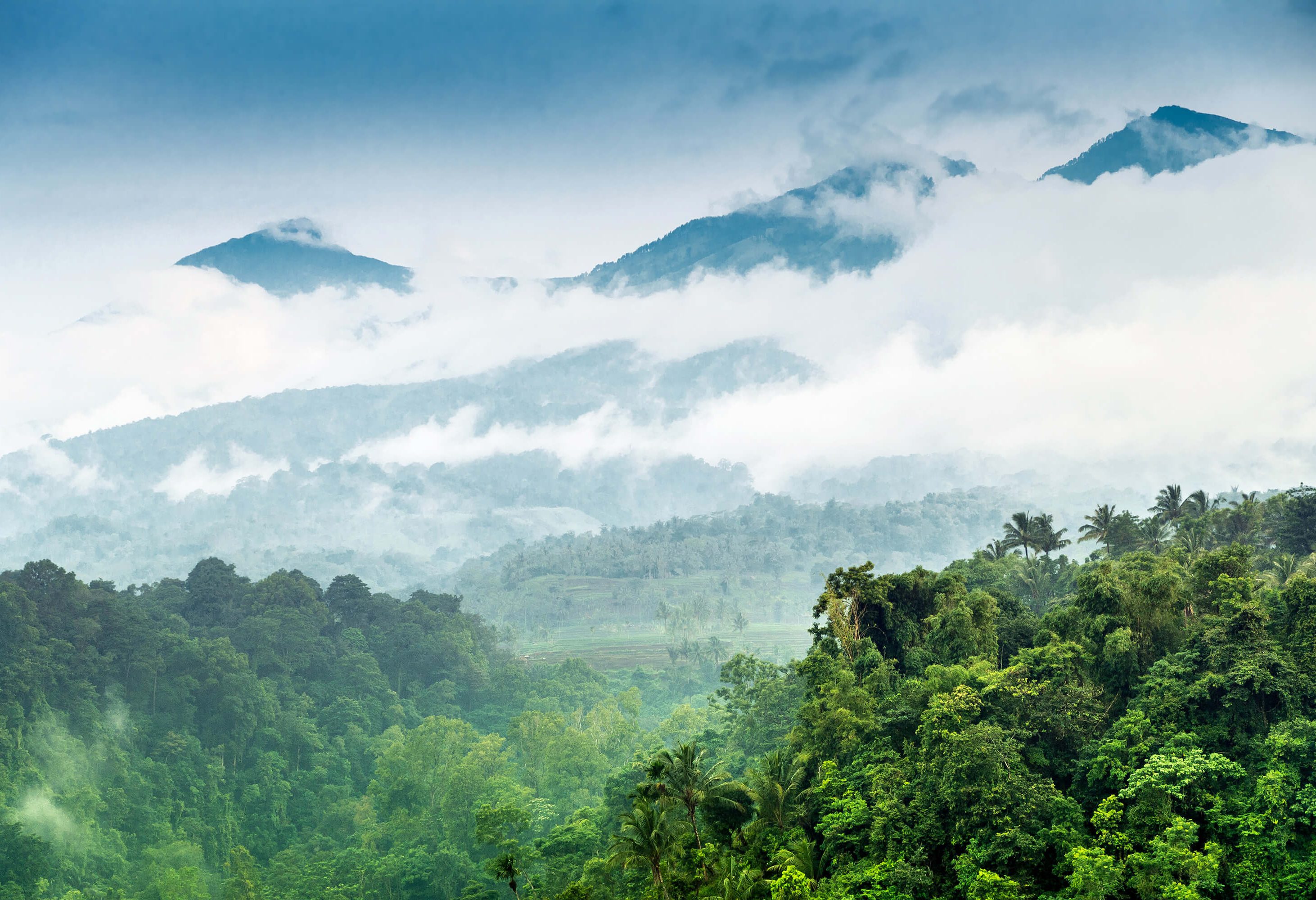 Rinjani National park Lombok