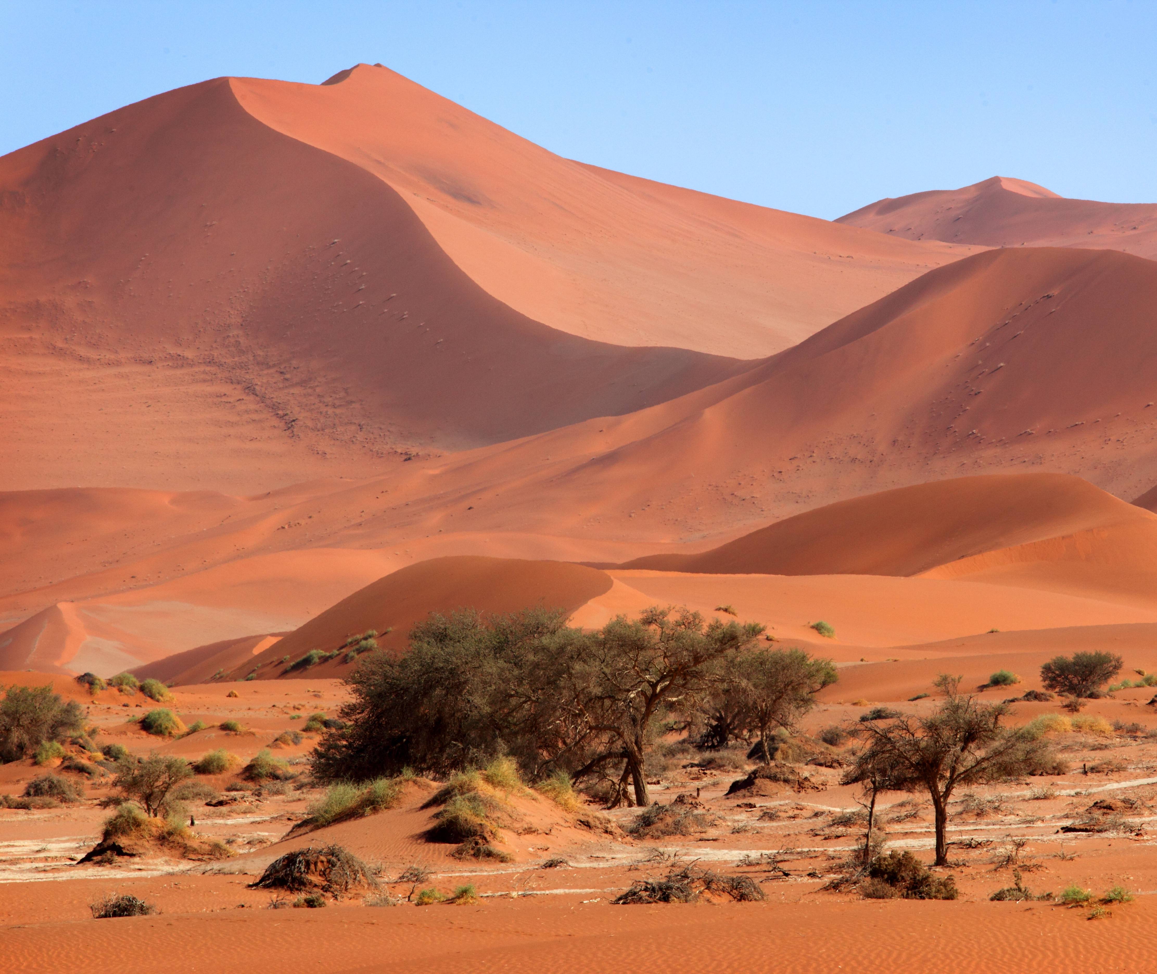 Sossusvlei