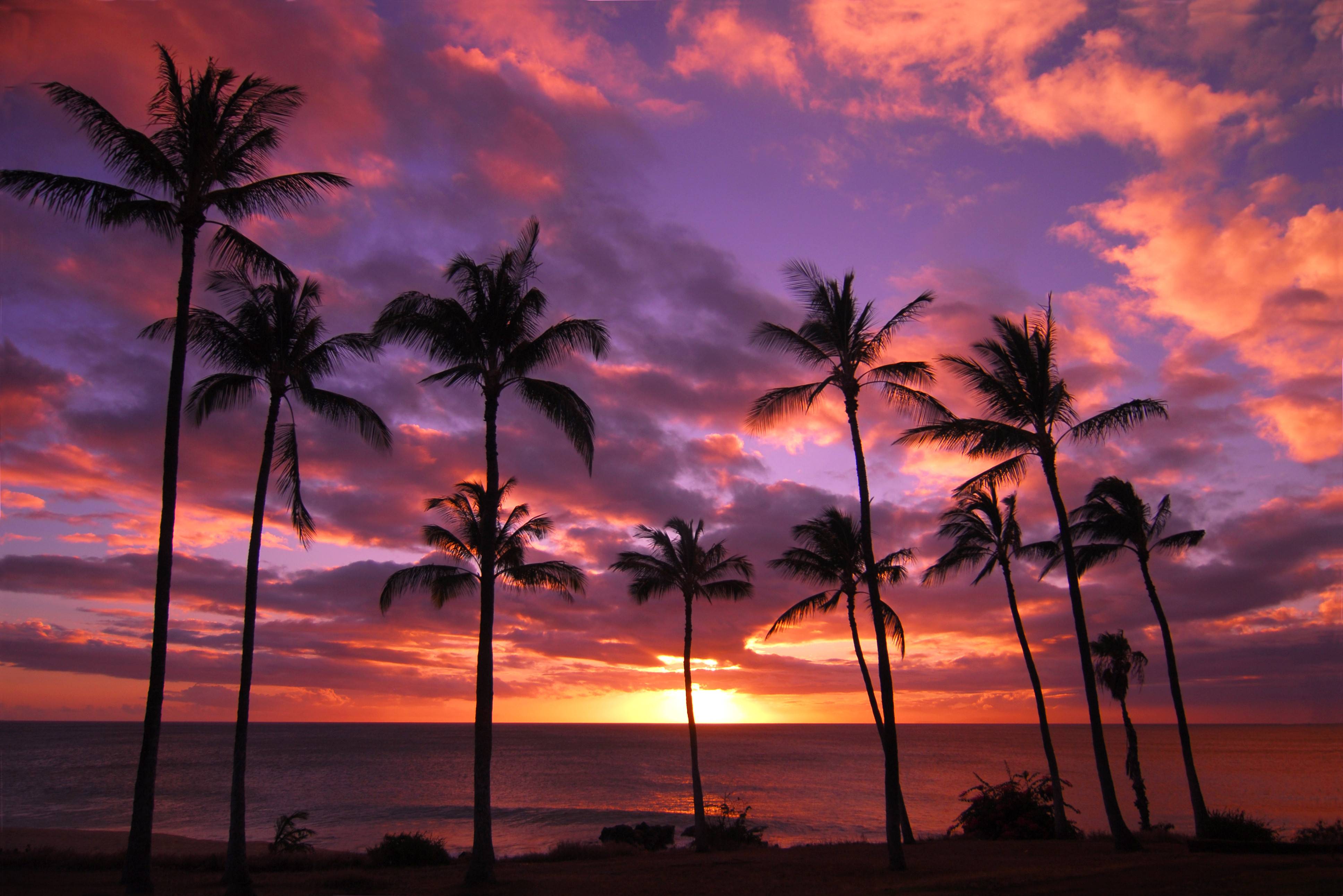 Sunset HAwaii
