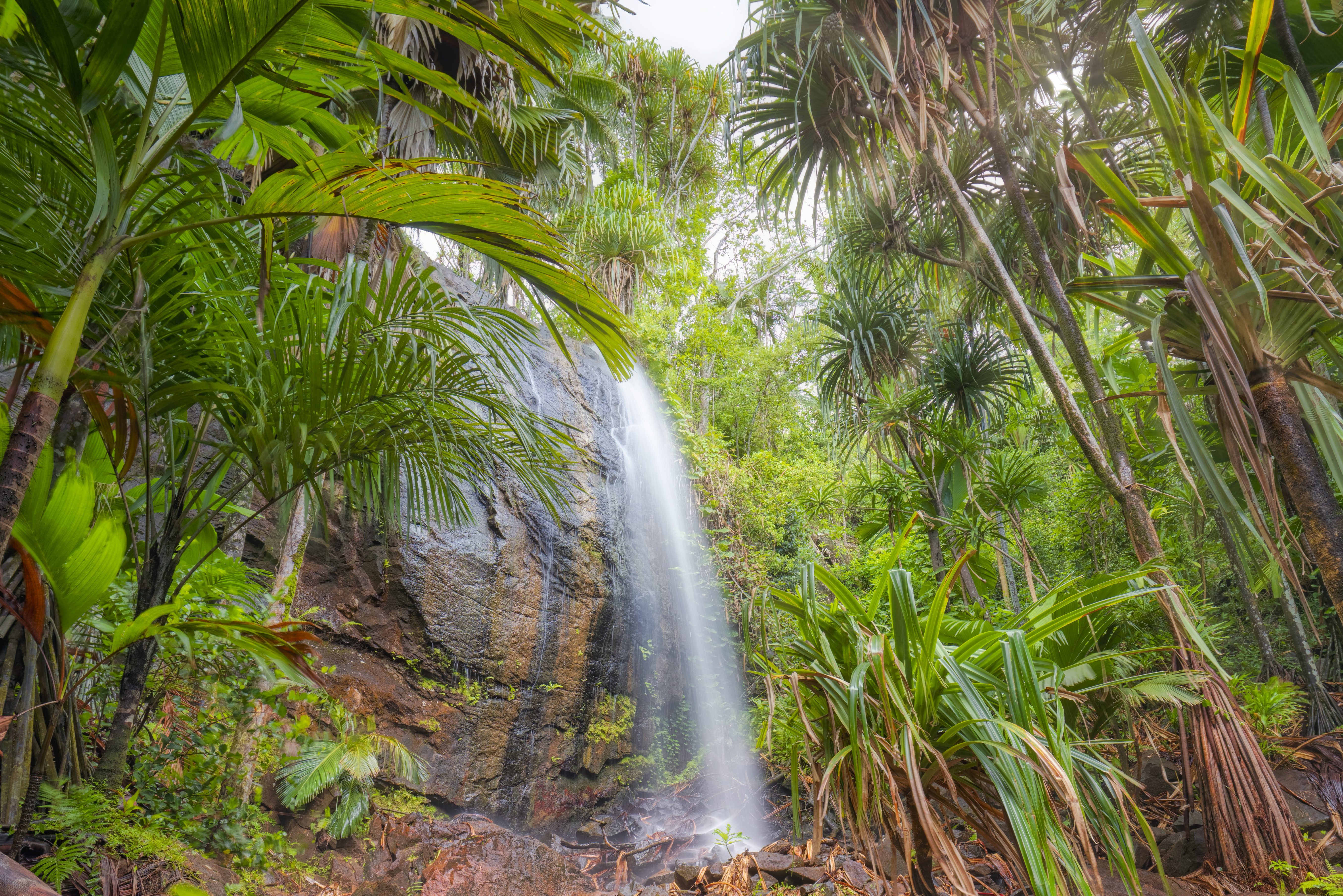 Vallee de Mai in de Seychellen