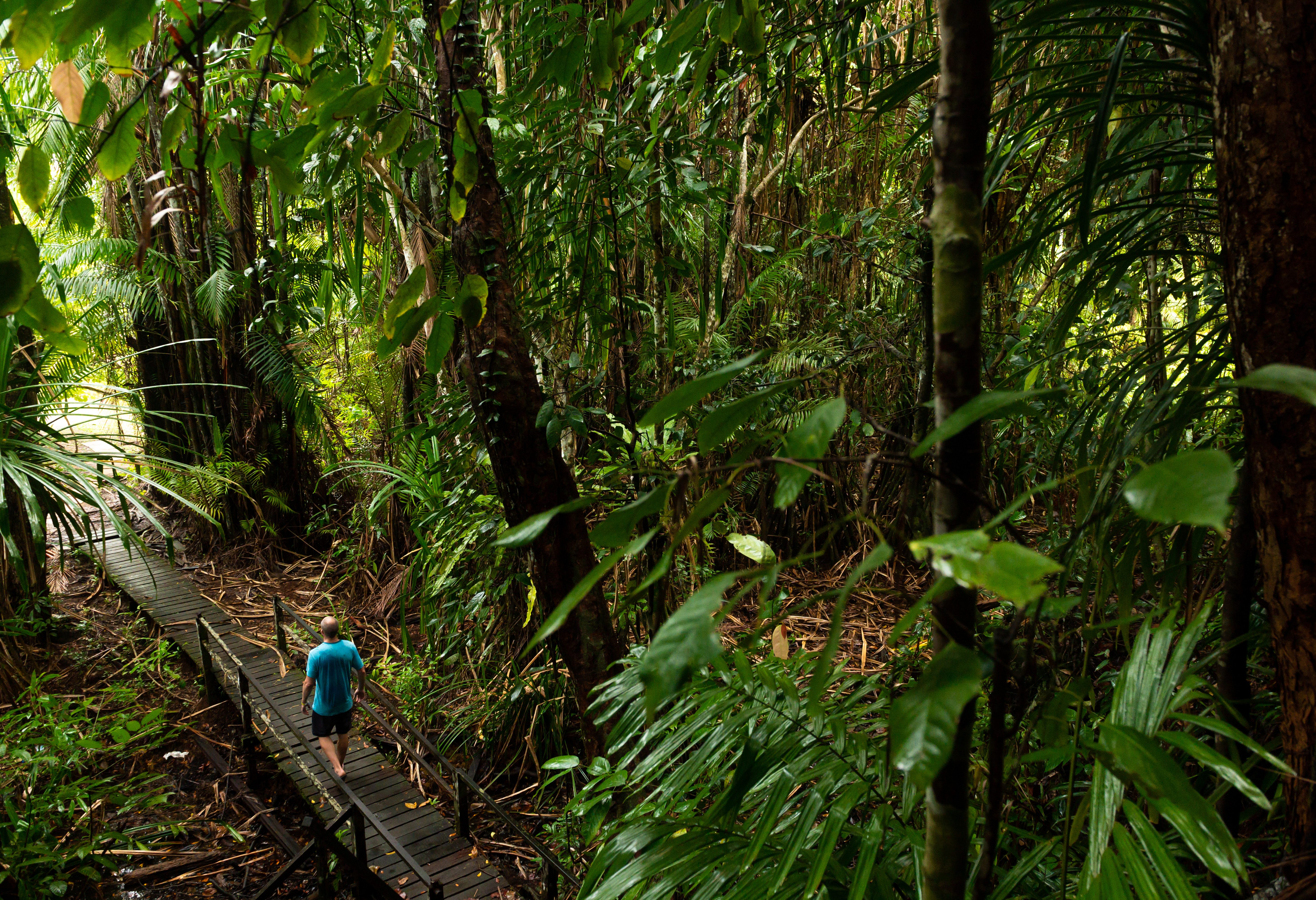 Bako National Park in Sarawak Borneo Maleisië