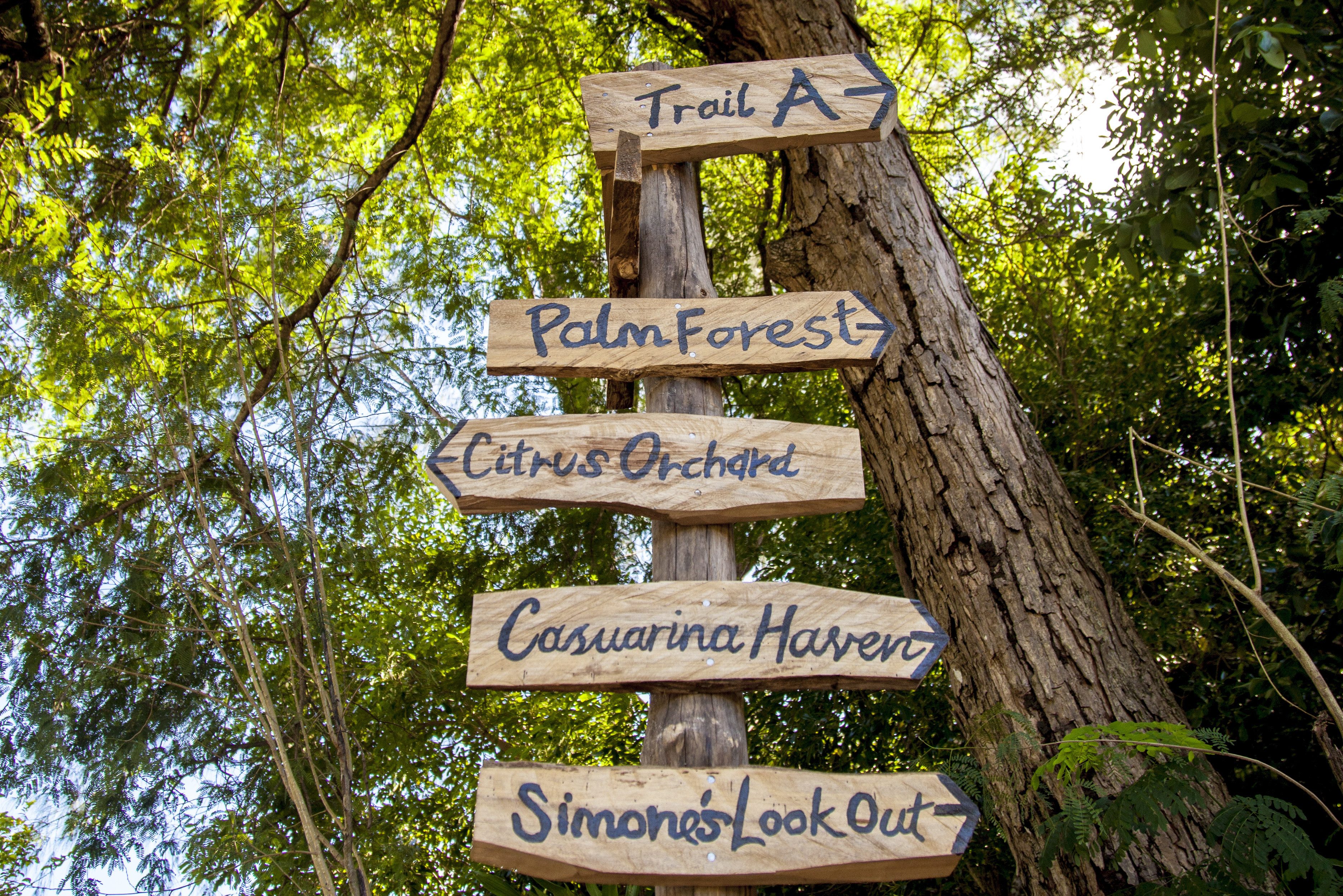 Cap Lazare natuurreservaat op Mahé in de Seychellen