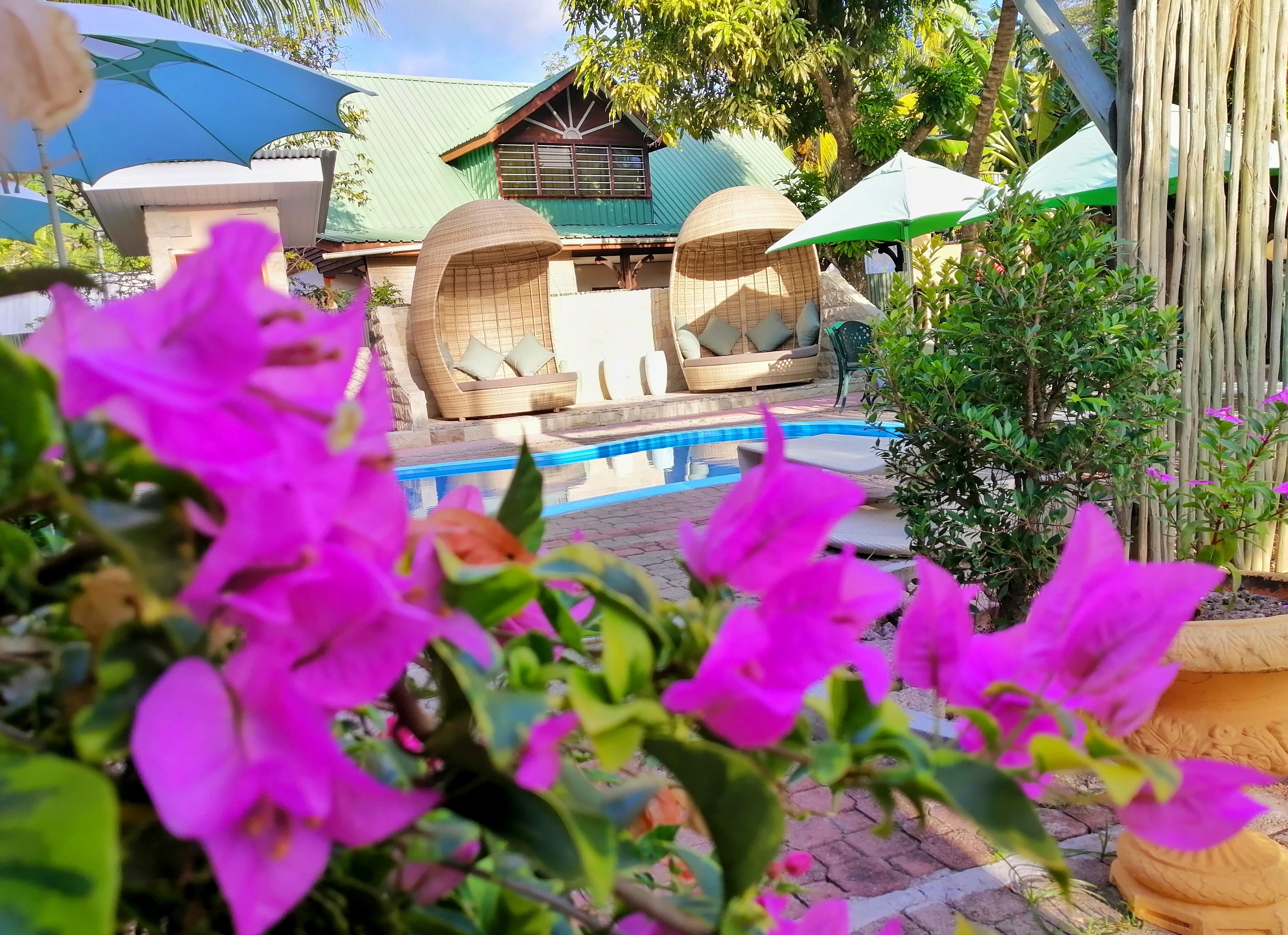 Het zwembad van Casa de Leela op La Digue in de Seychellen