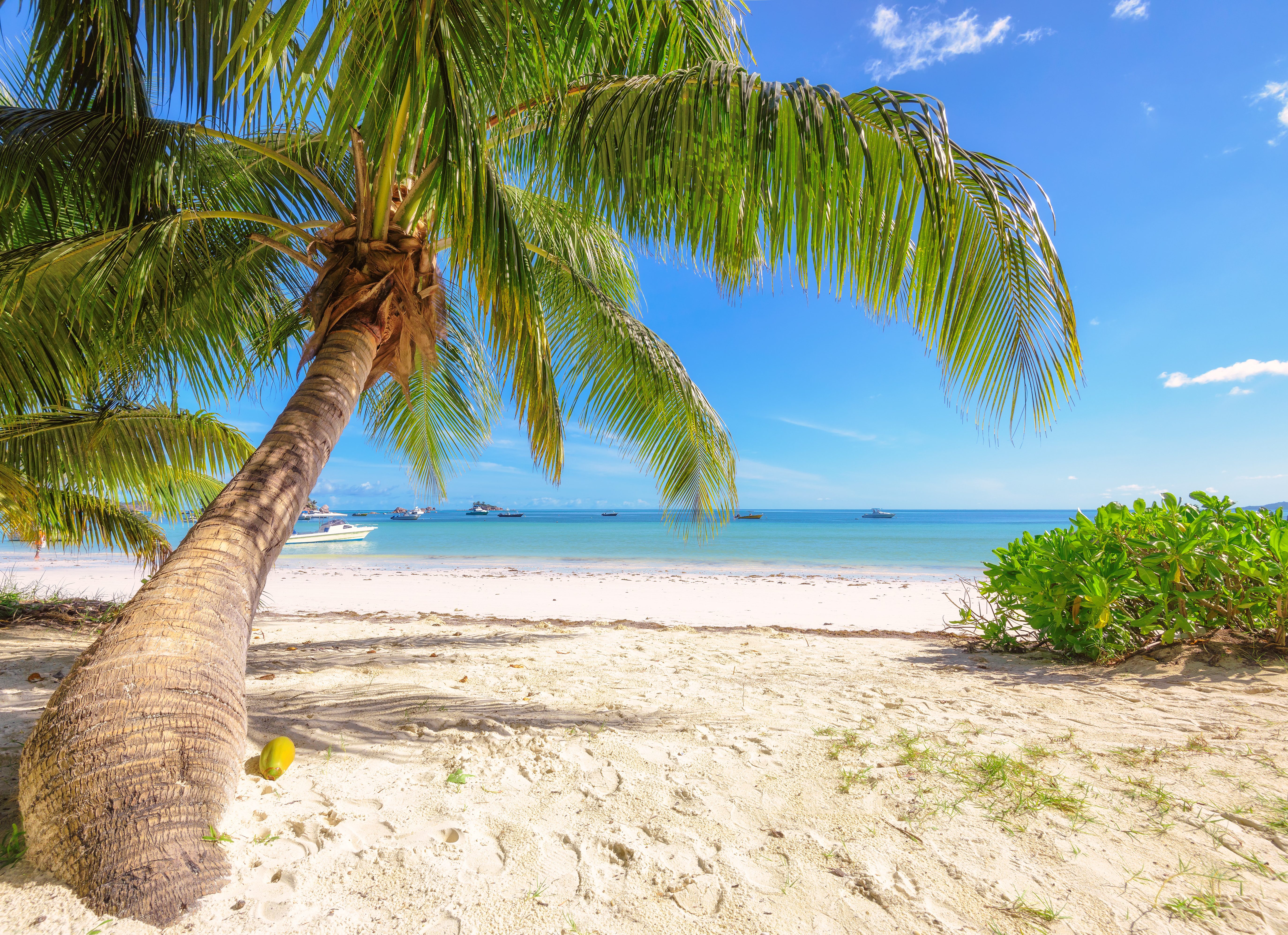 Anse Lazio op Praslin in de Seychellen