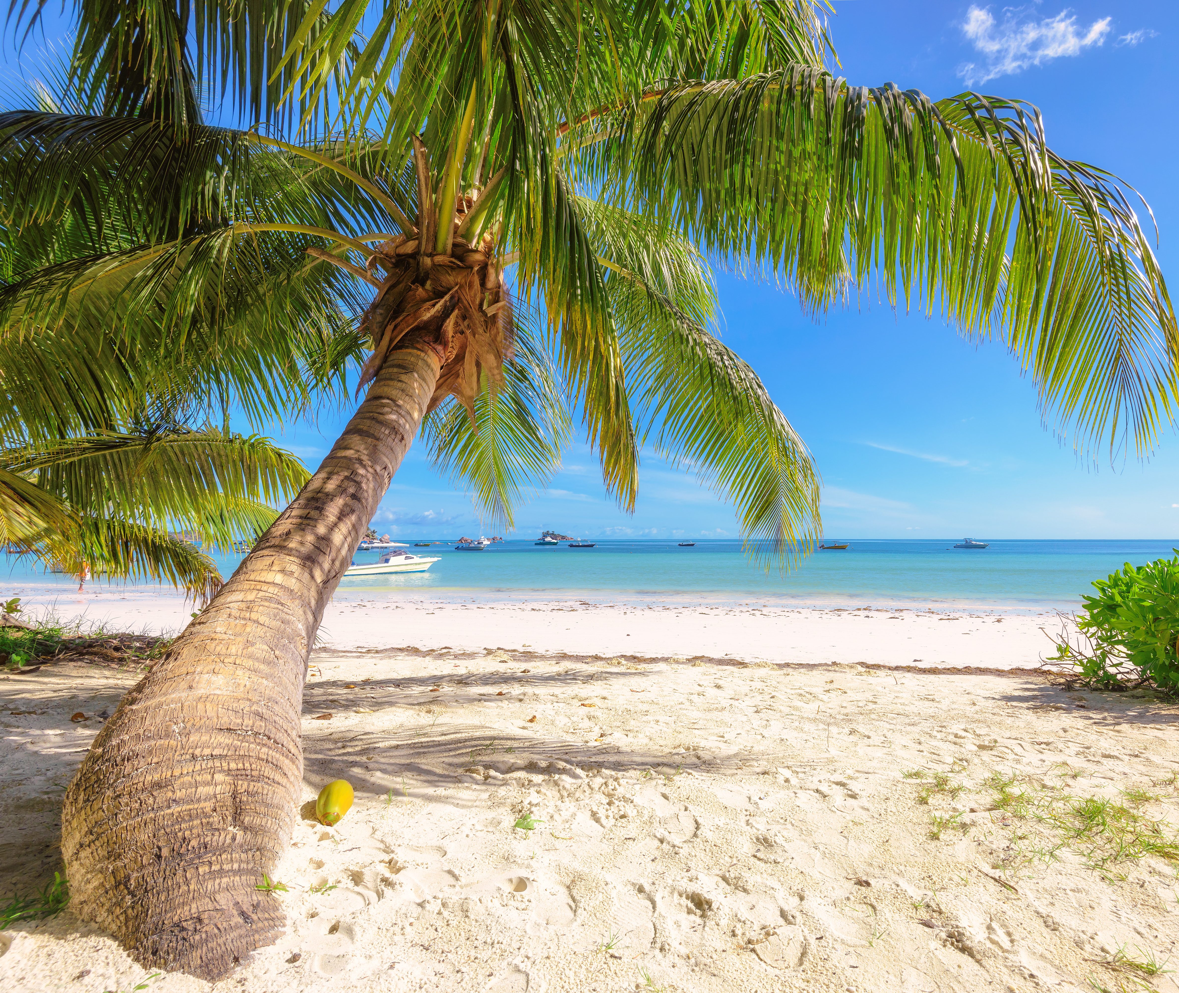 Beste reistijd Seychellen