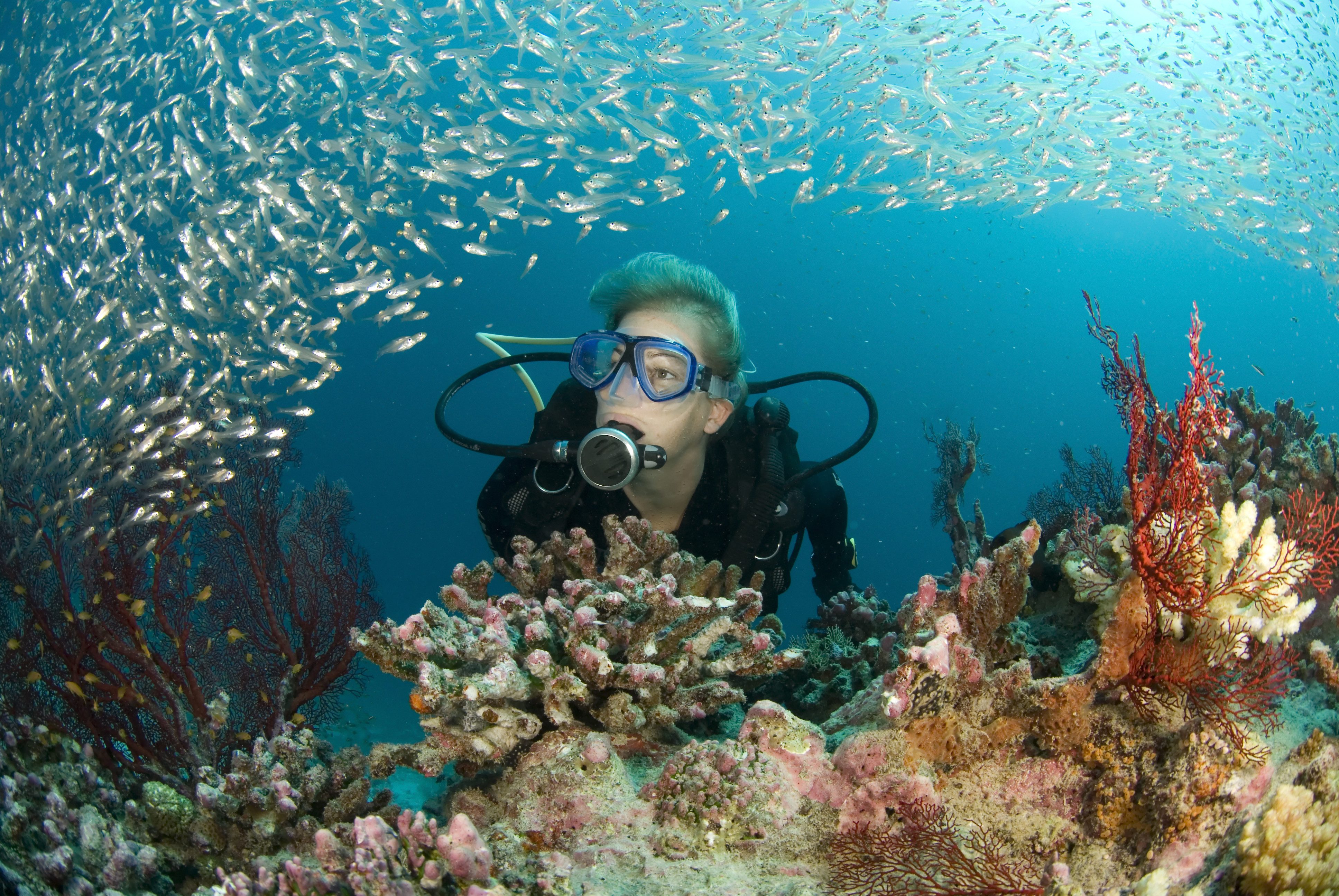 Duiken op de Seychellen