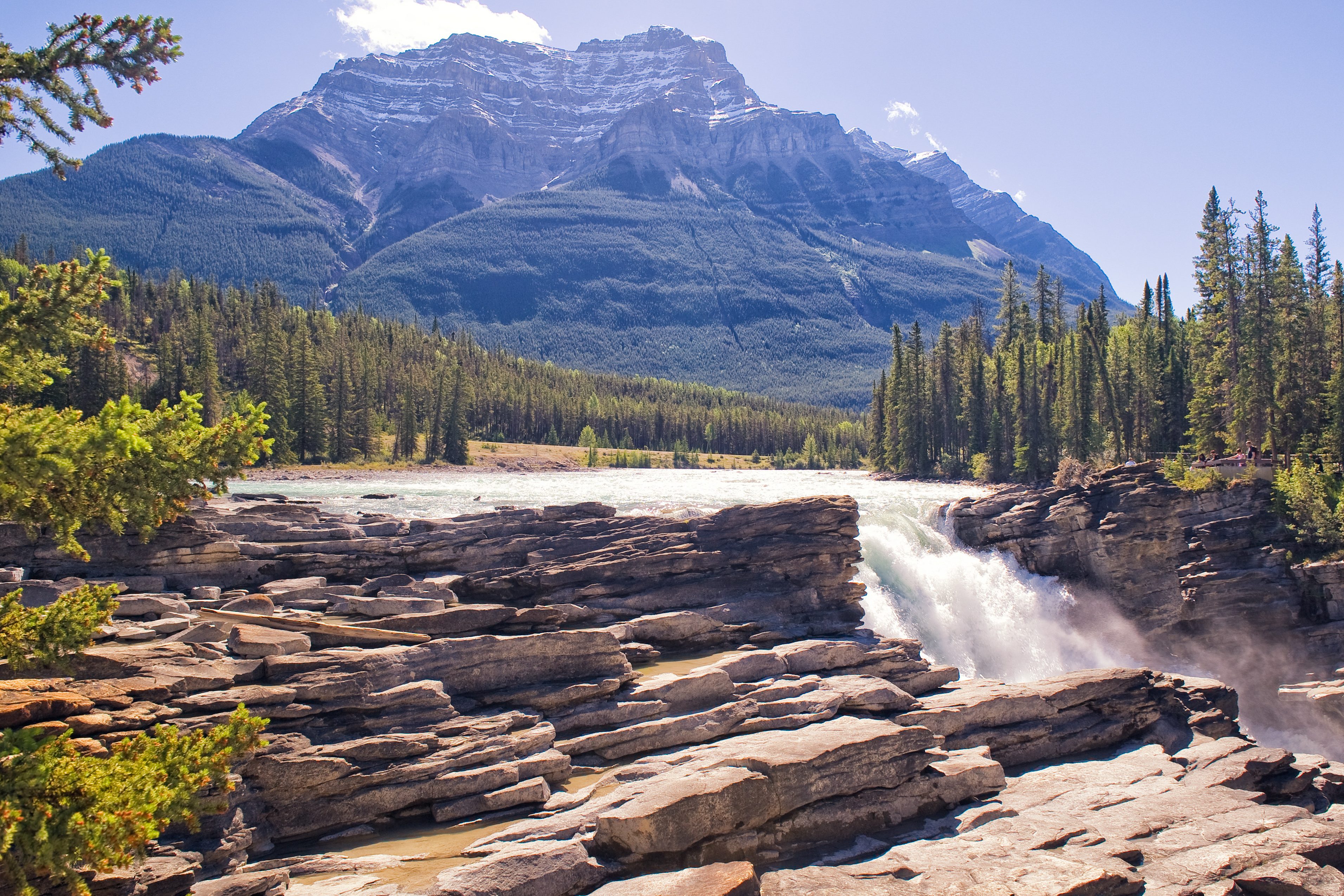 Athabasca waterval bij Jasper national park in Canada