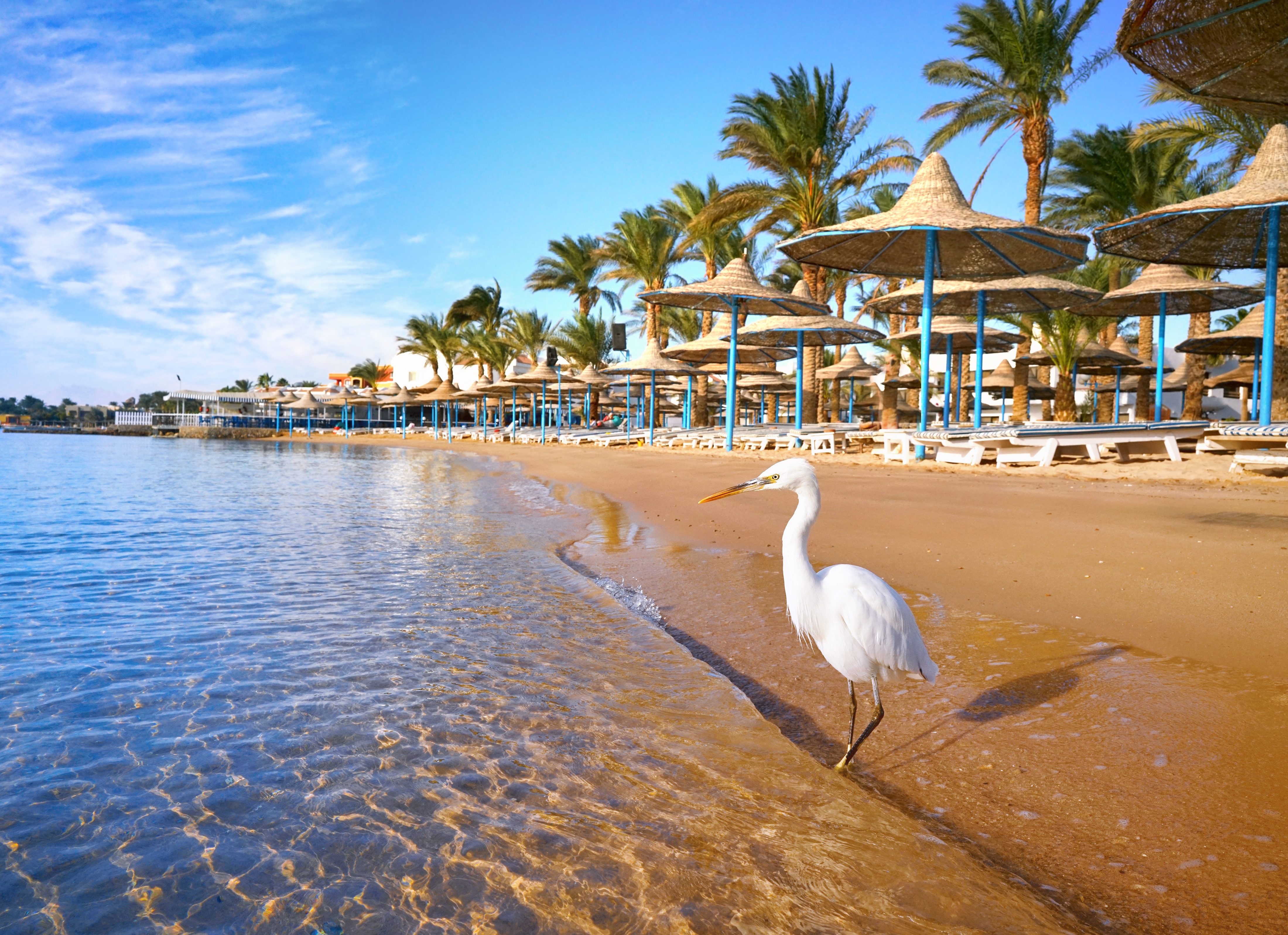 Strand van Hurghada in Egypte