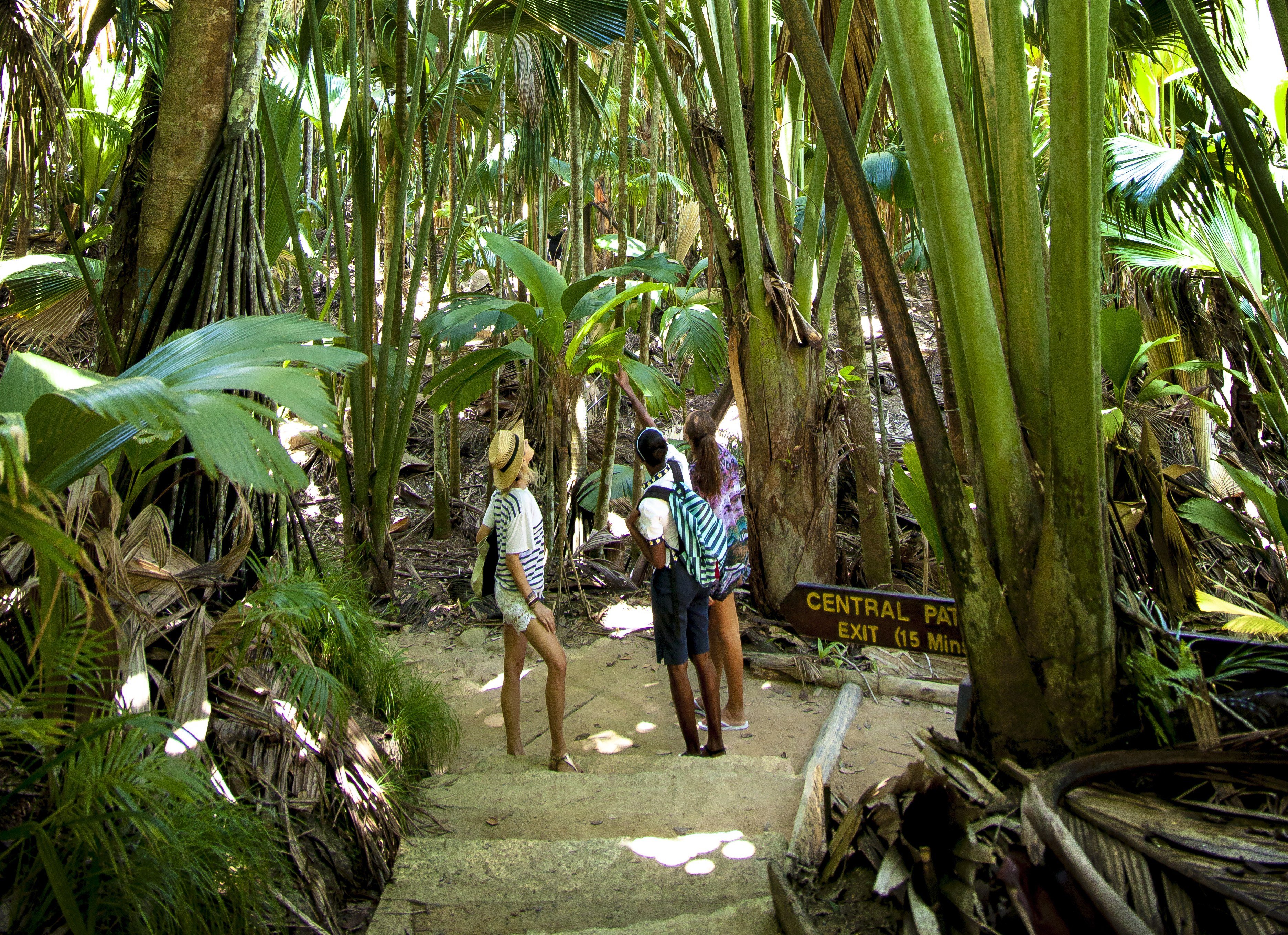 Vallée de Mai op Praslin in de Seychellen