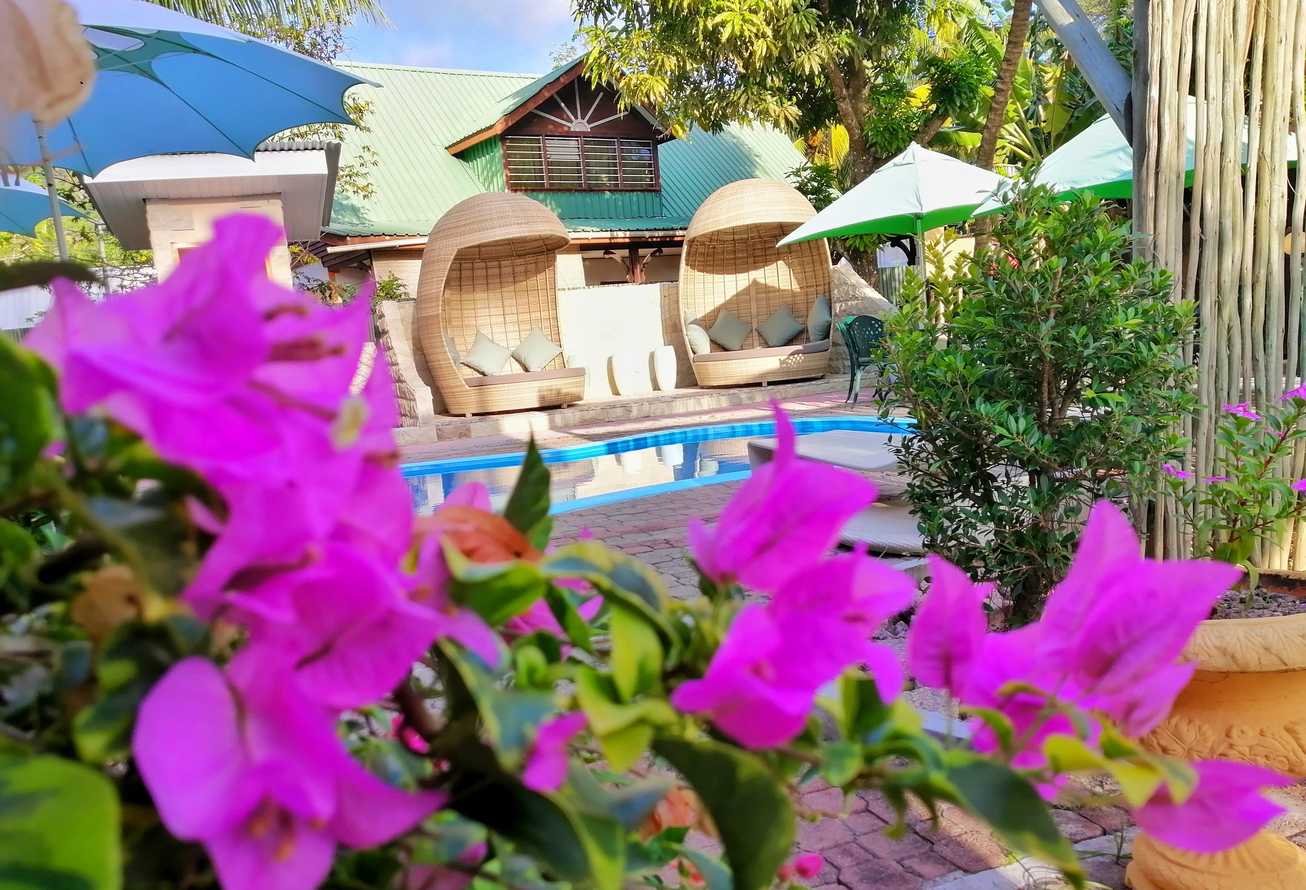 Zwembadje van Casa de Leela op La Digue in de Seychellen