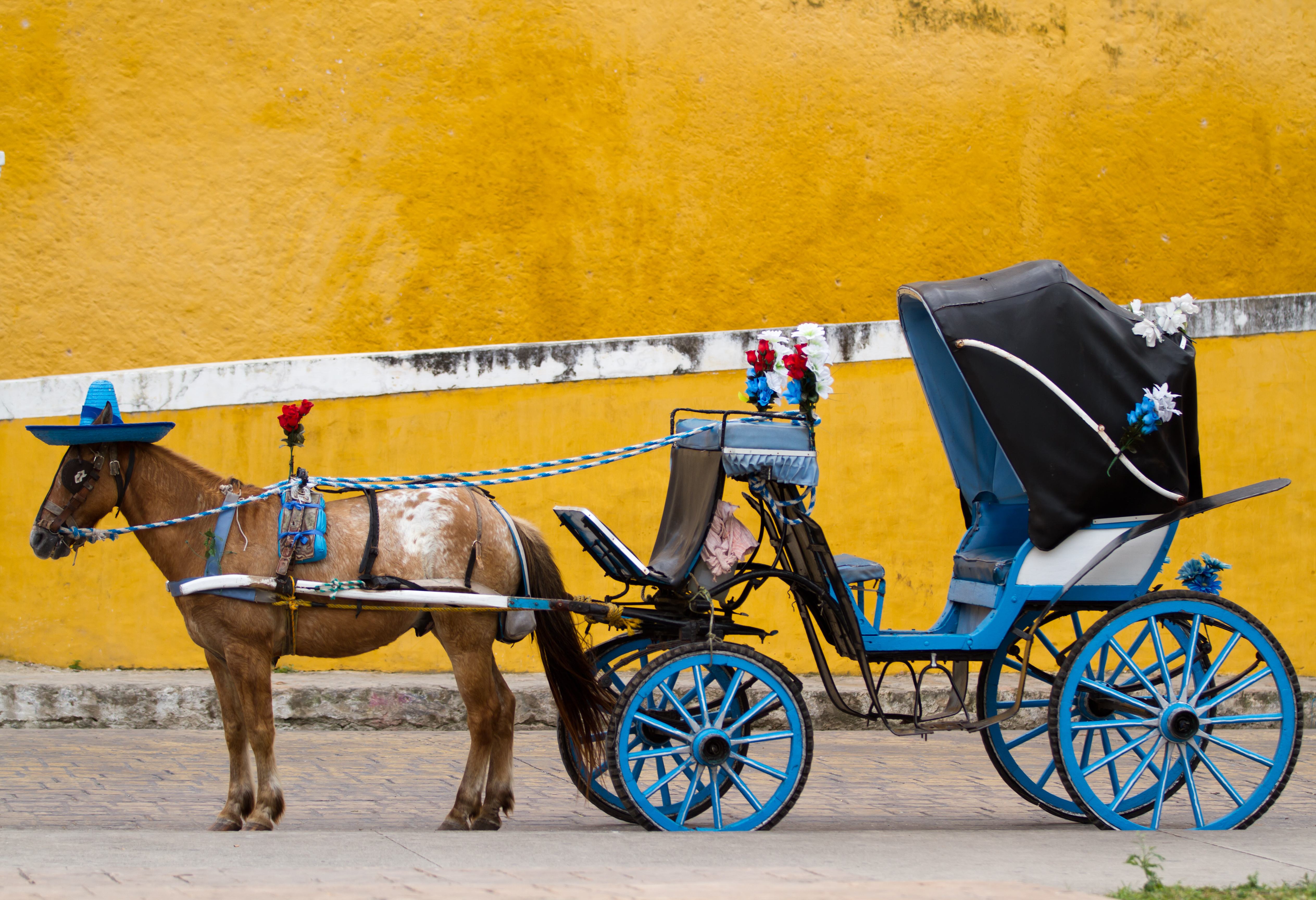Paard en wagen in Uxmal in Yucatan in Mexico