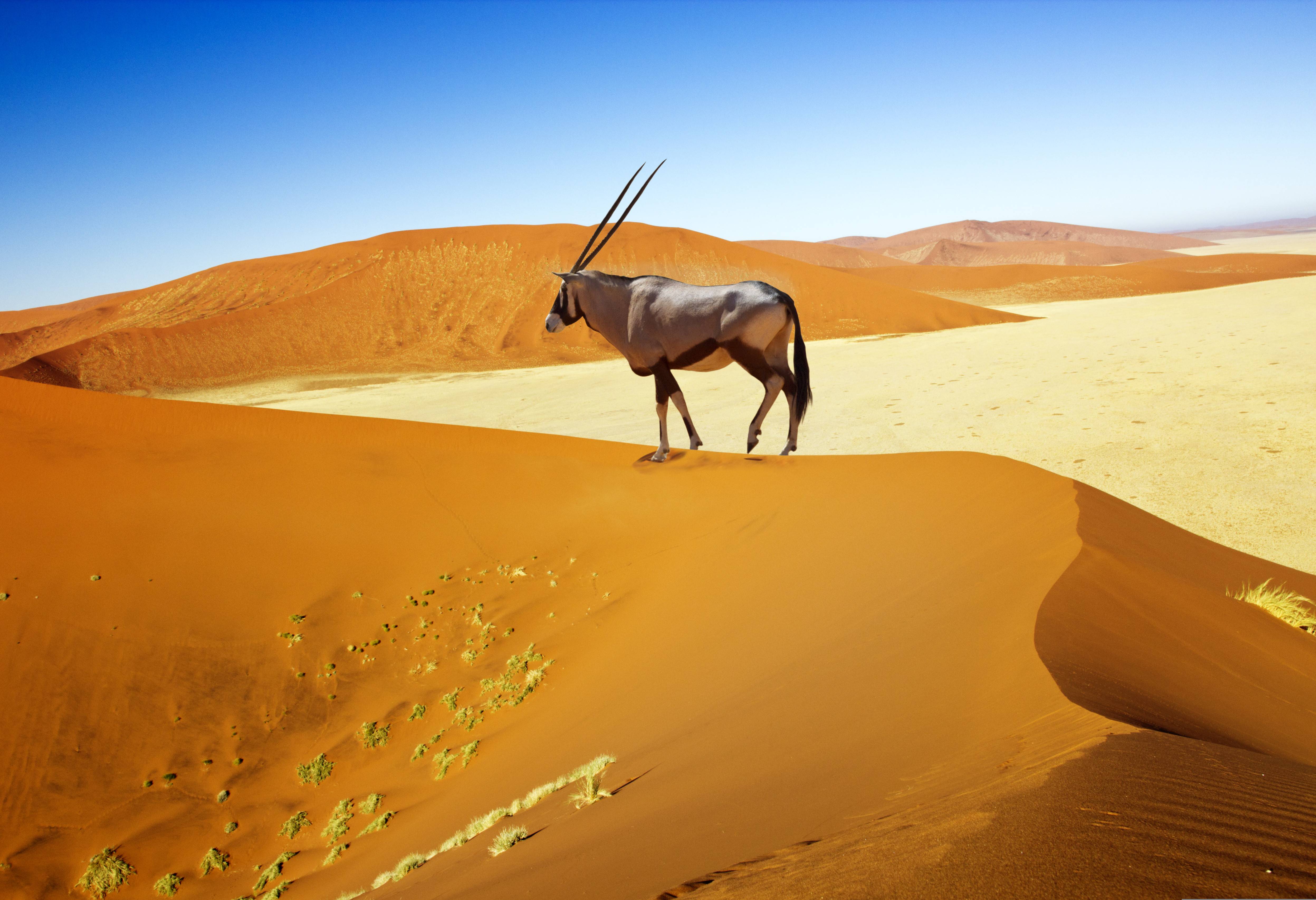 Sossusvlei in  Namibië