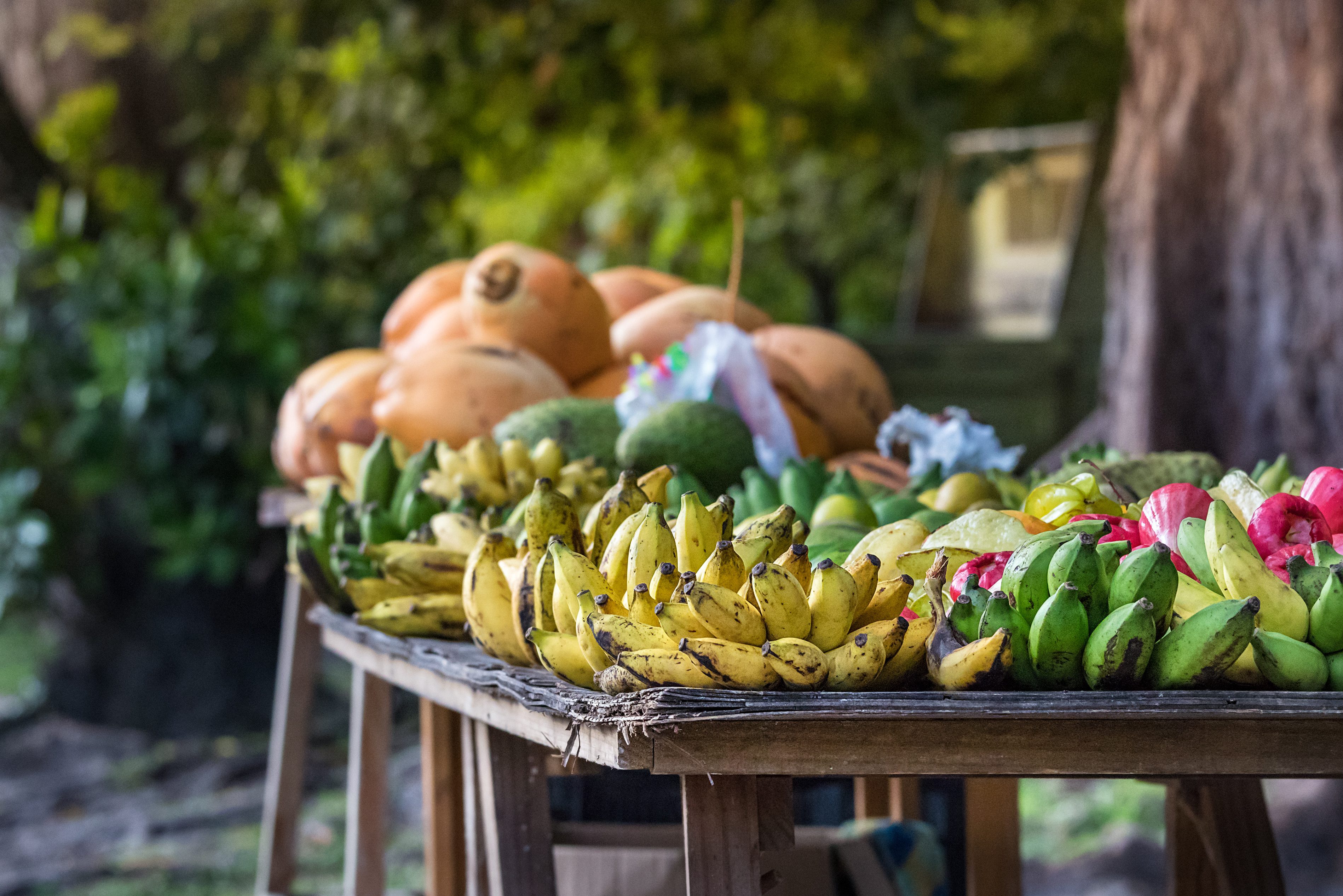 Lokale markt op Praslin in de Seychellen