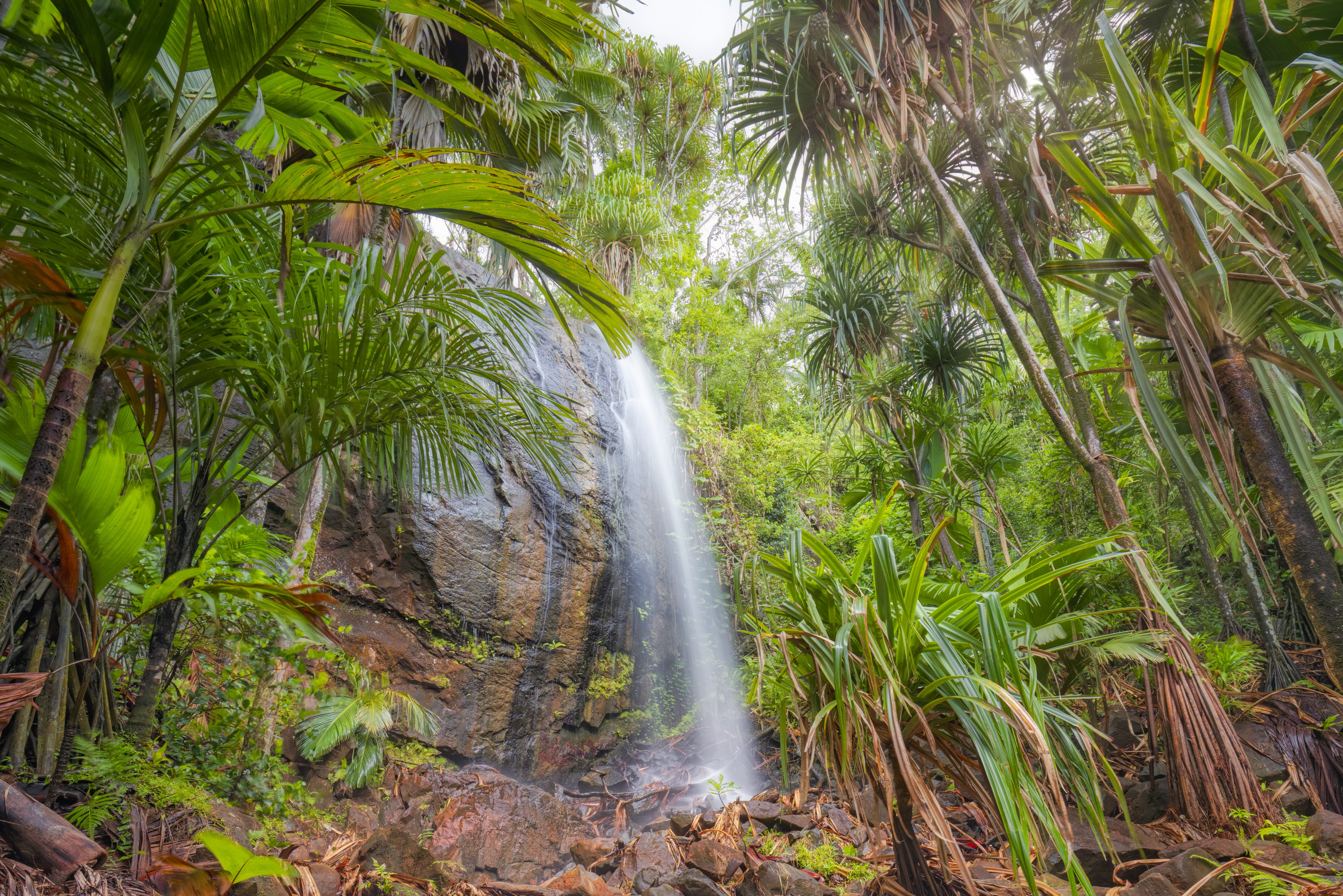 Waterval in de Vallee de Mai op Praslin in de Seychellen